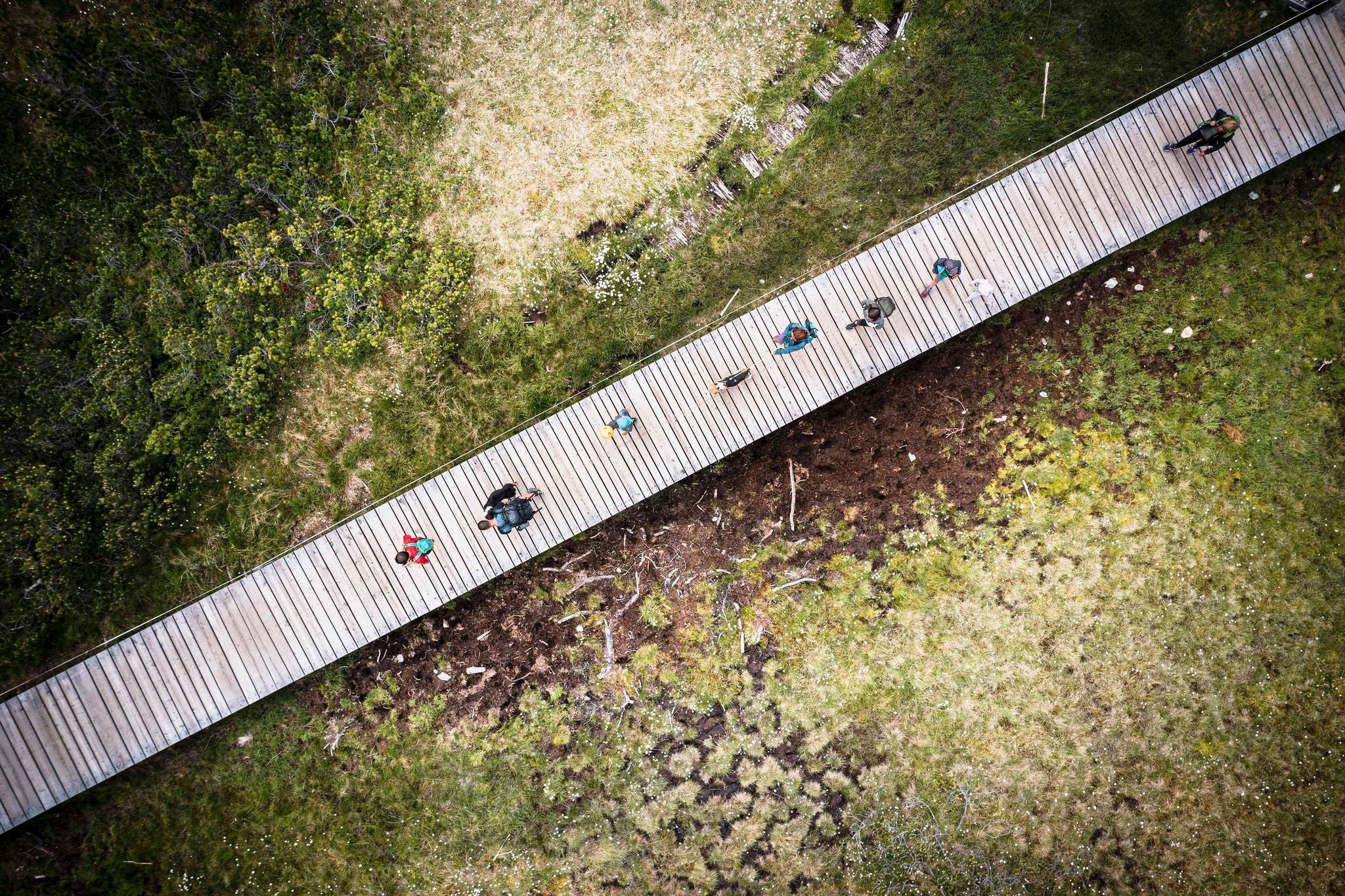 Vandrere, set ovenfra, der går på gangsti i naturområdet Biotopo Monte Covolo-Nemes