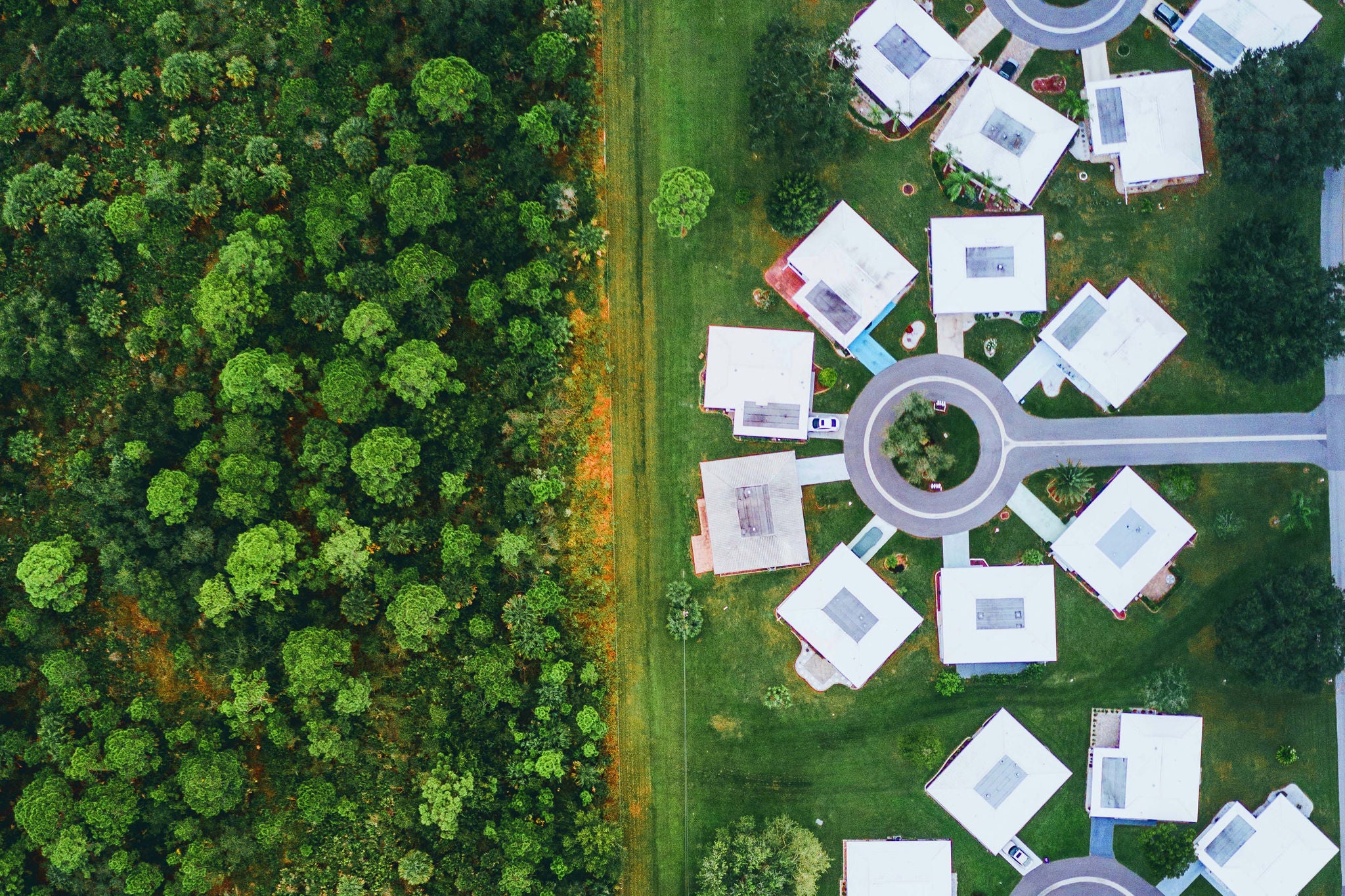 Aerial shot of unusual shaped homes at the edge of a tree area