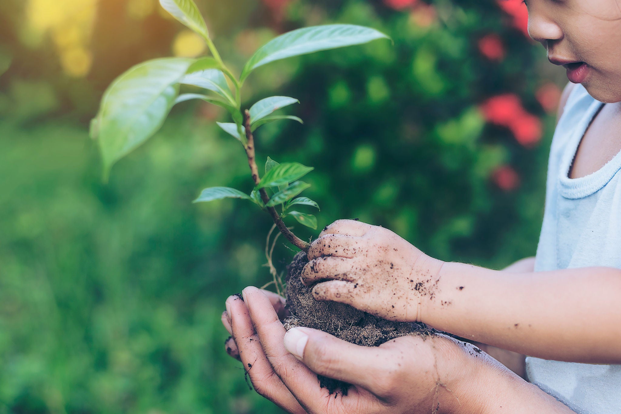 a child holding plants