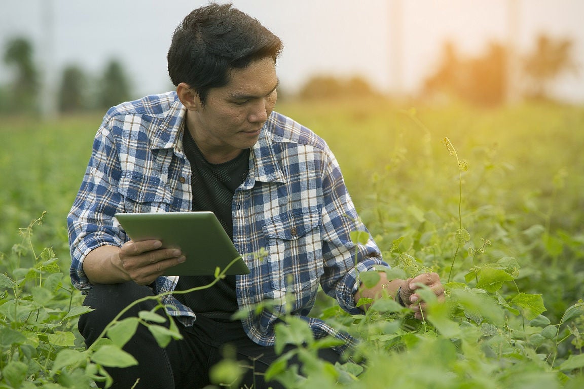 Smart farmers are monitoring crop growth