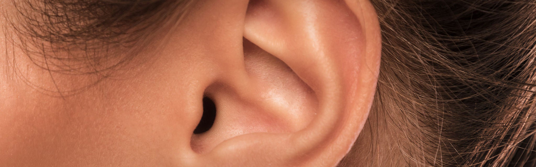 Image of ear