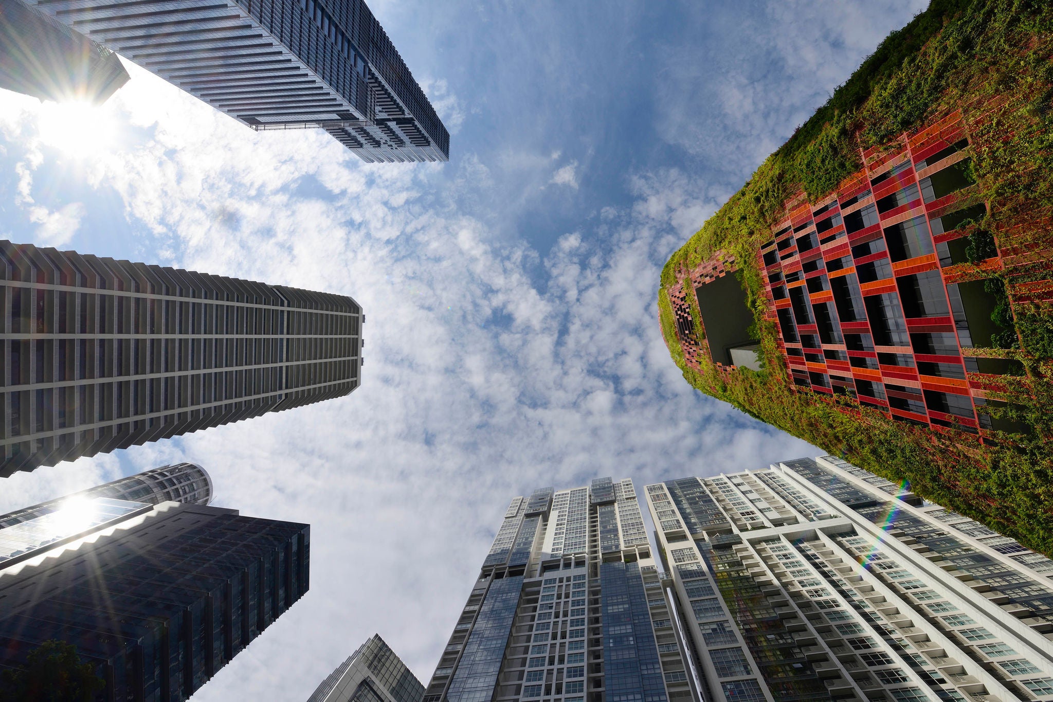 Looking up at office towers