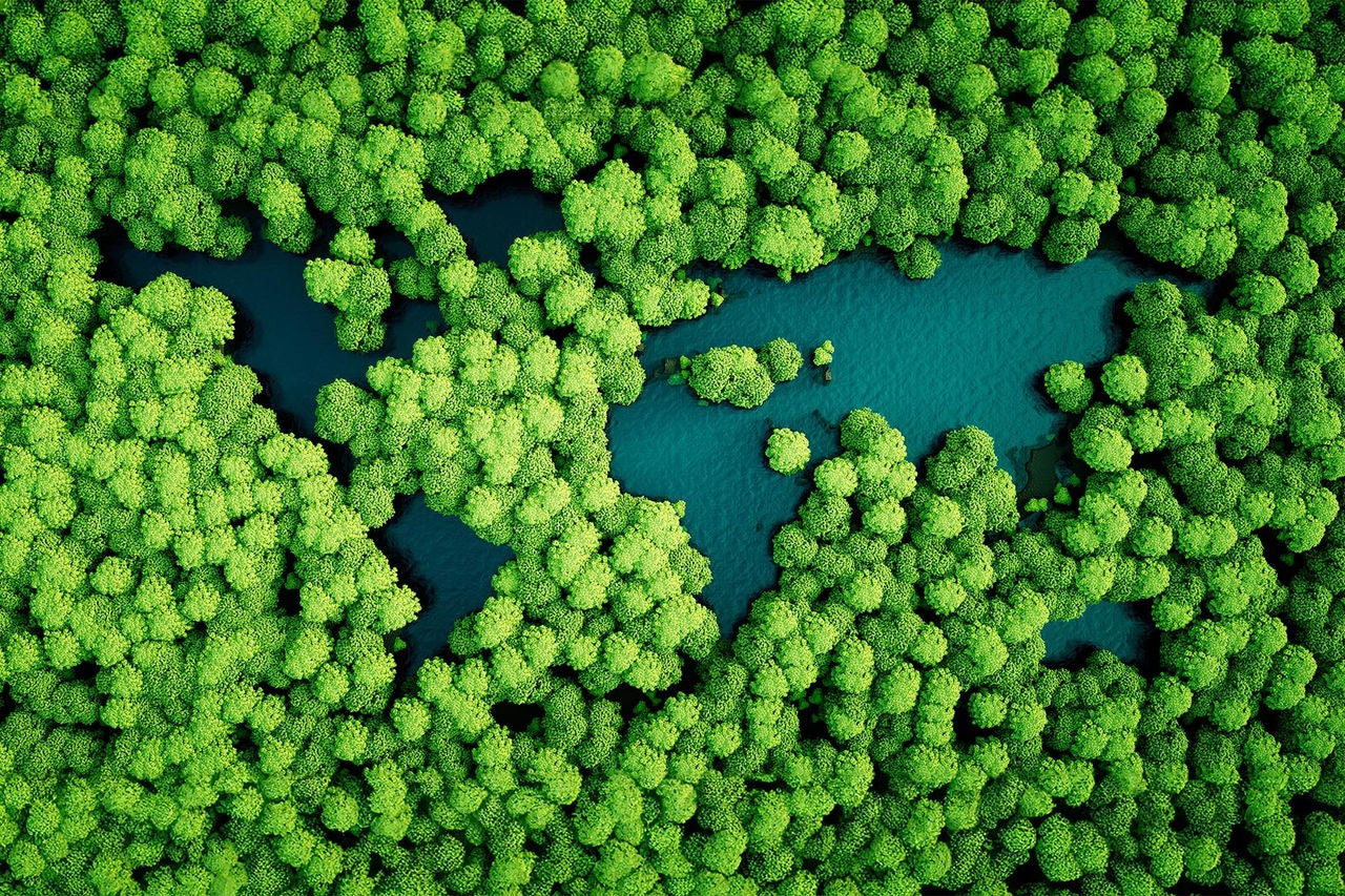 Rainforest lakes in the shape of world continents. Environmentally friendly sustainable development concept. 3D illustration.