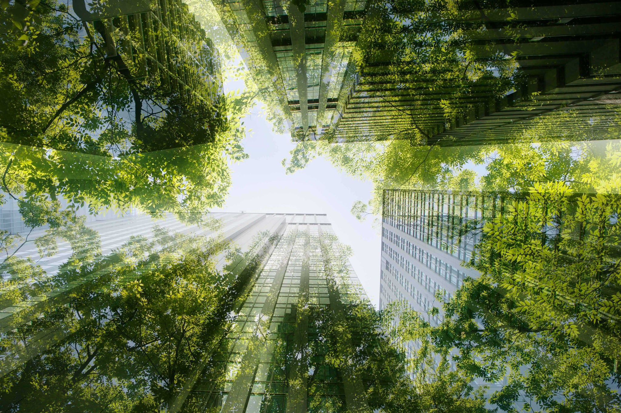 Cityscape mixed with green plants