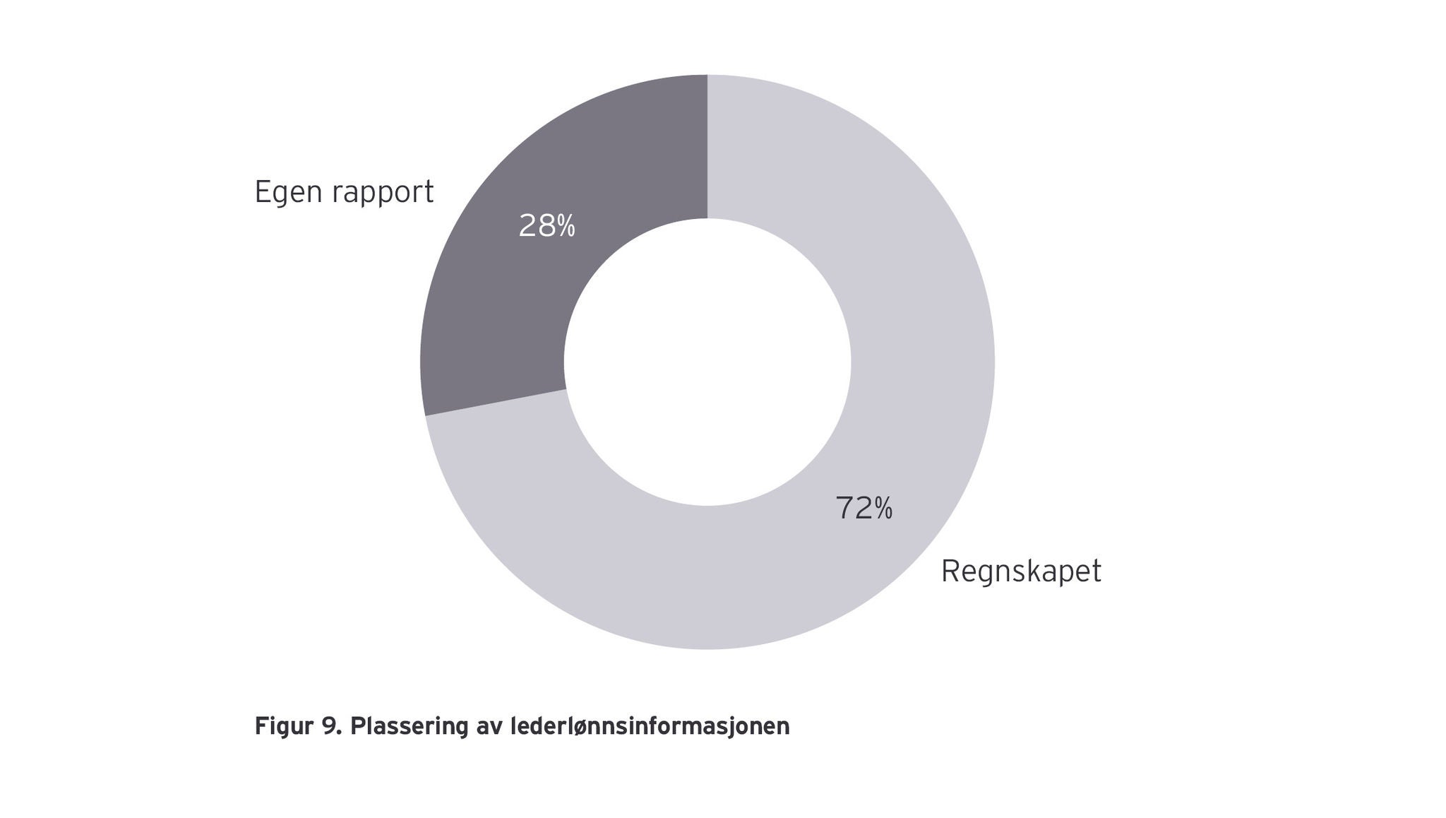 Figur 9: Plassering av lederlønnsinformasjonen