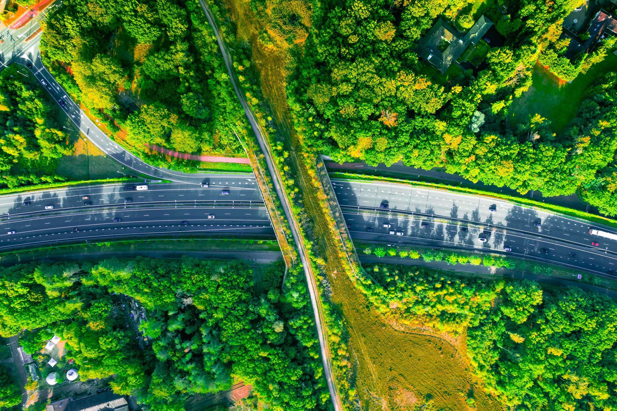 green bridge ecoduct