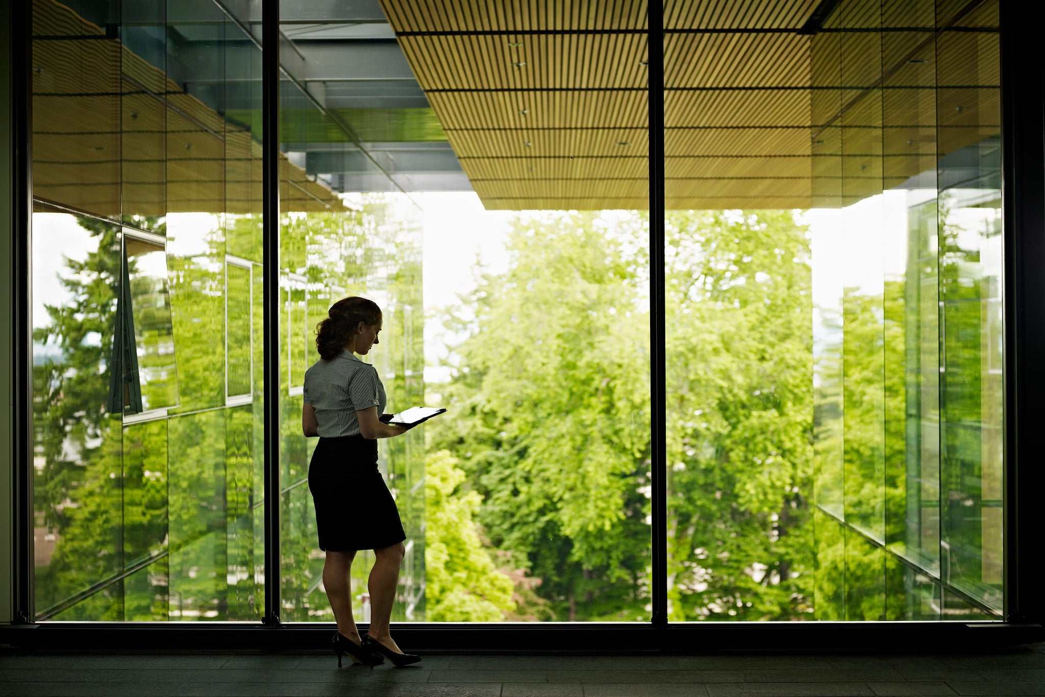  Businesswoman holding tablet standing at windows looking over green space