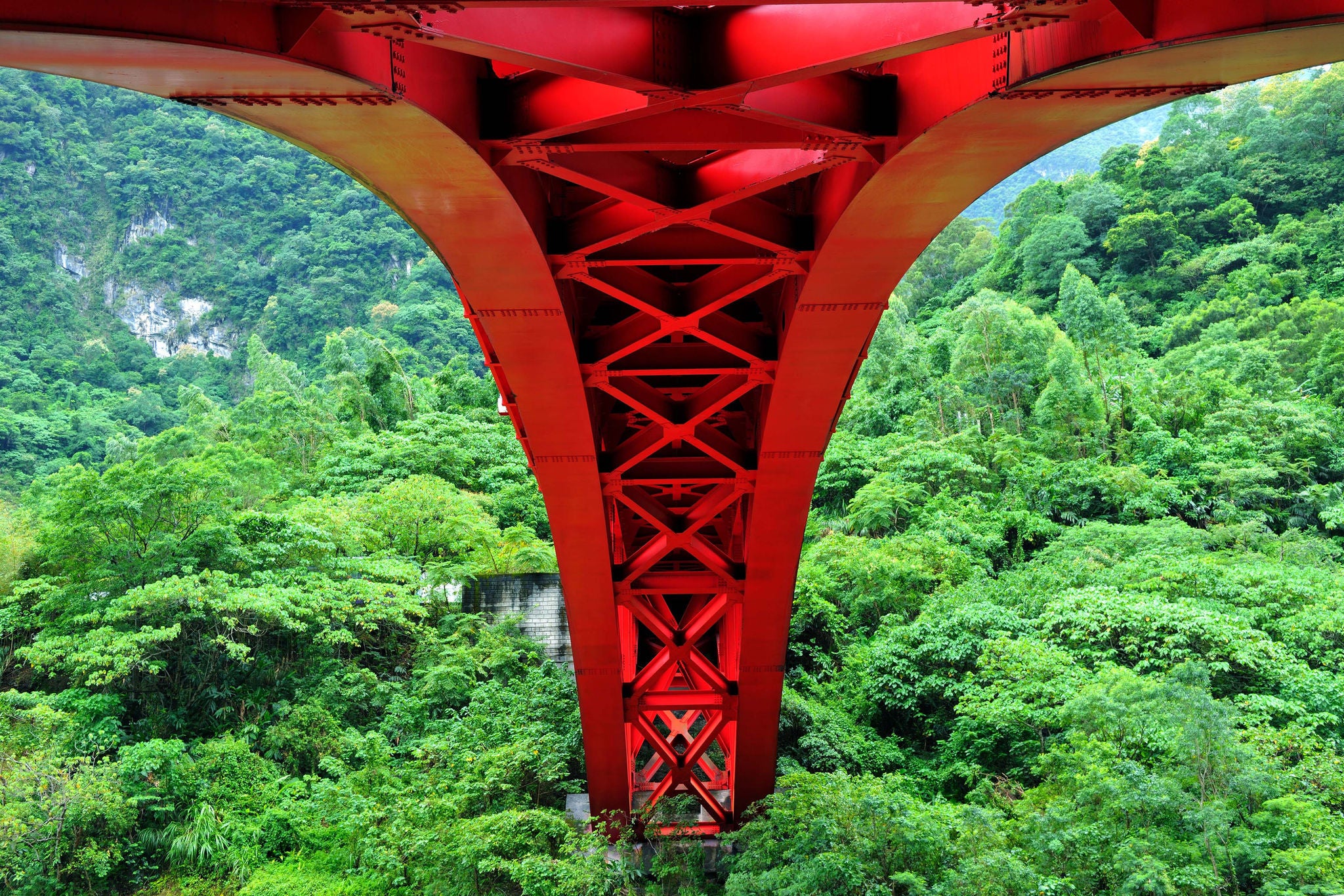 Low Angle View Of Bridge In Forest Against Sky