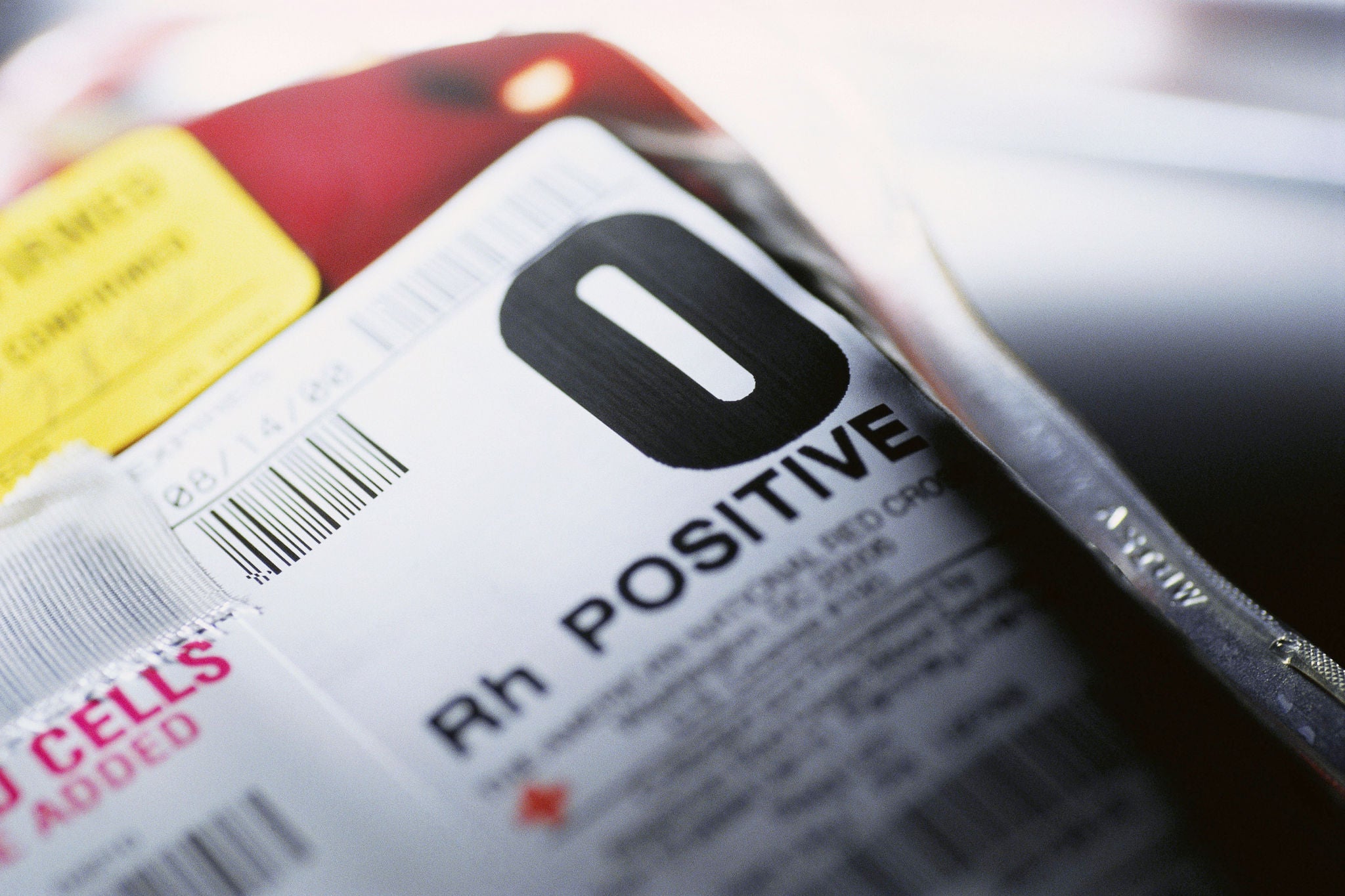 Bag O Rh Positive Blood