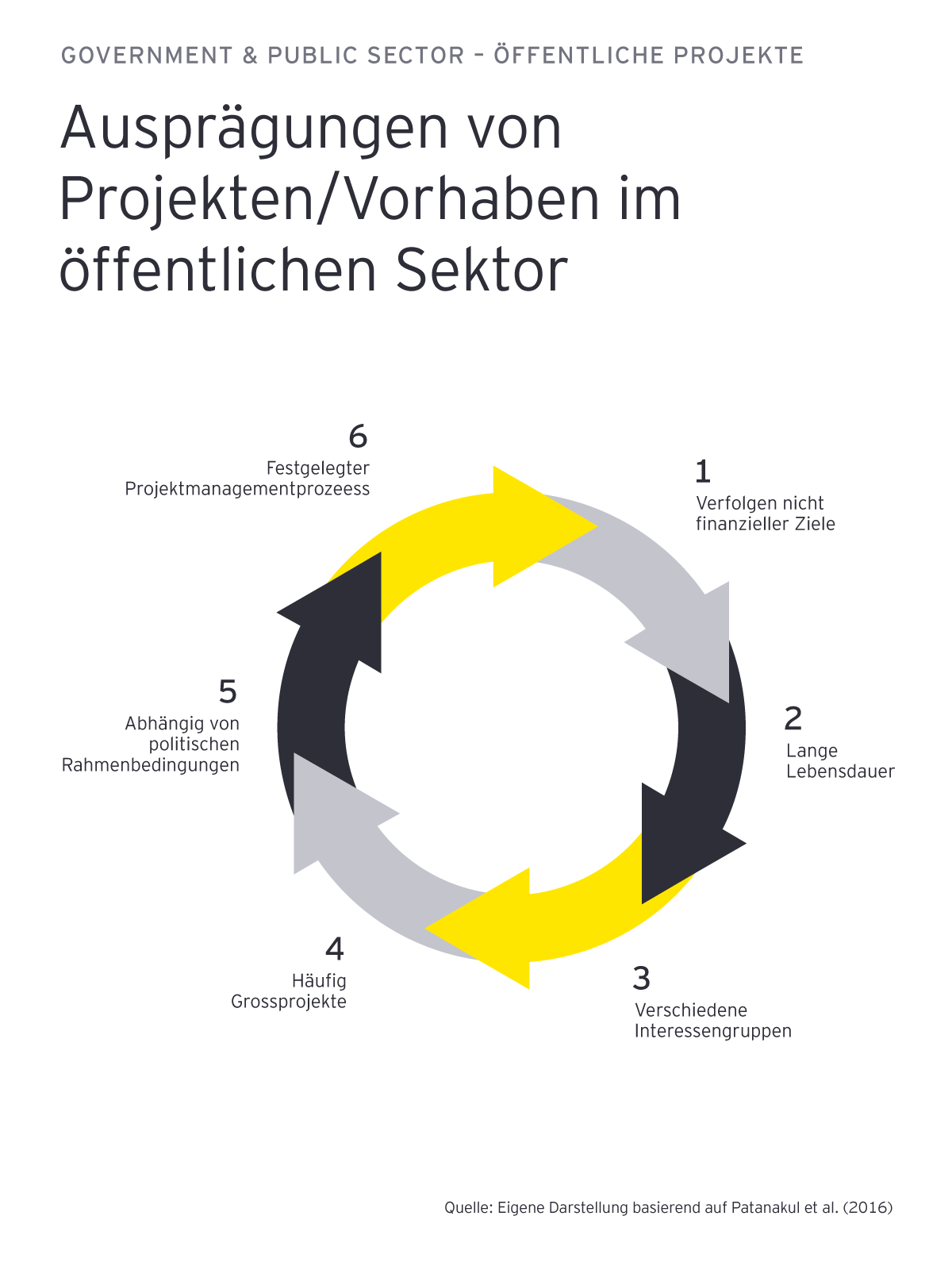 Ey government public sector offentliche projekte