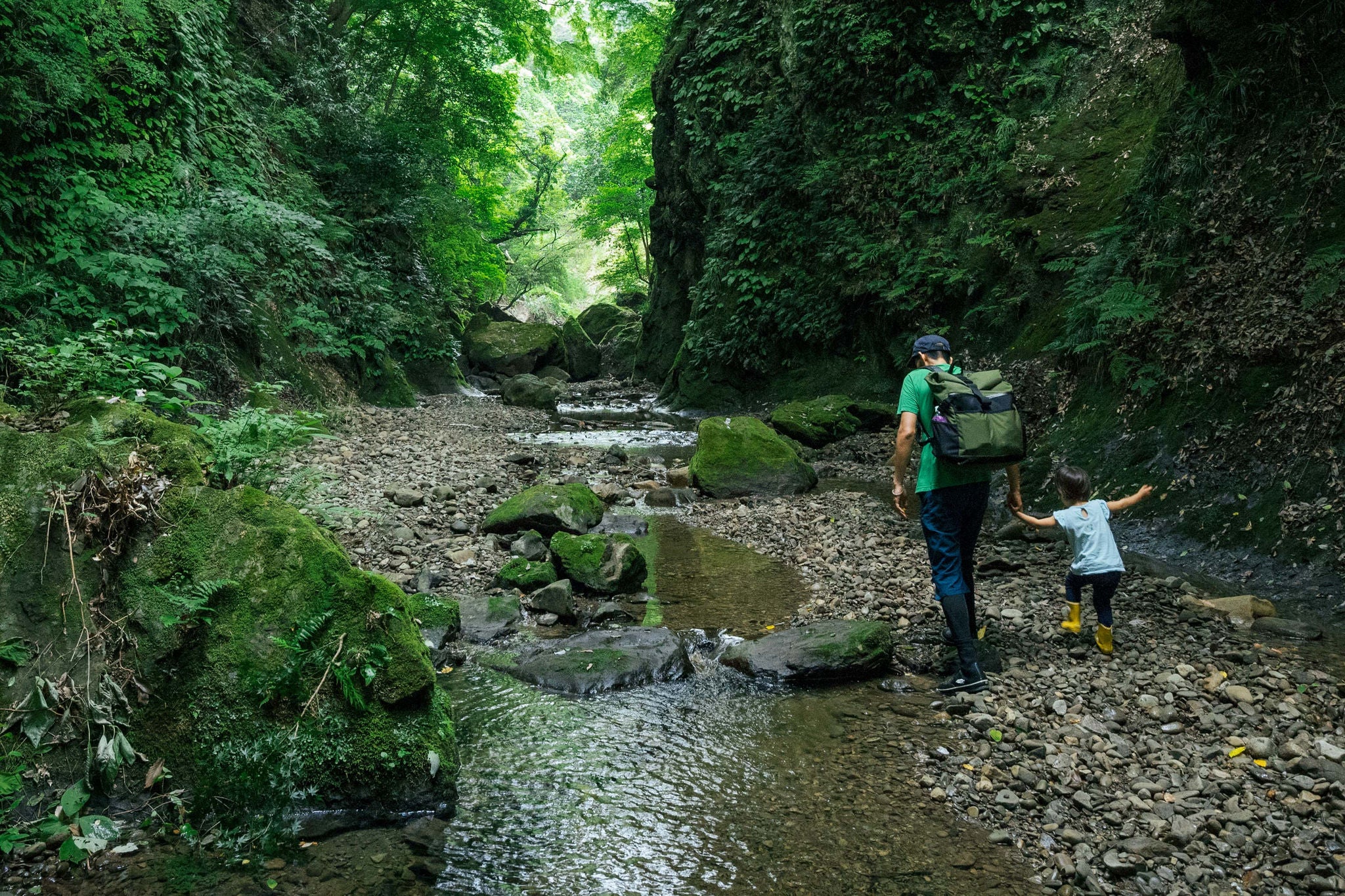 Father and child walking in a forest