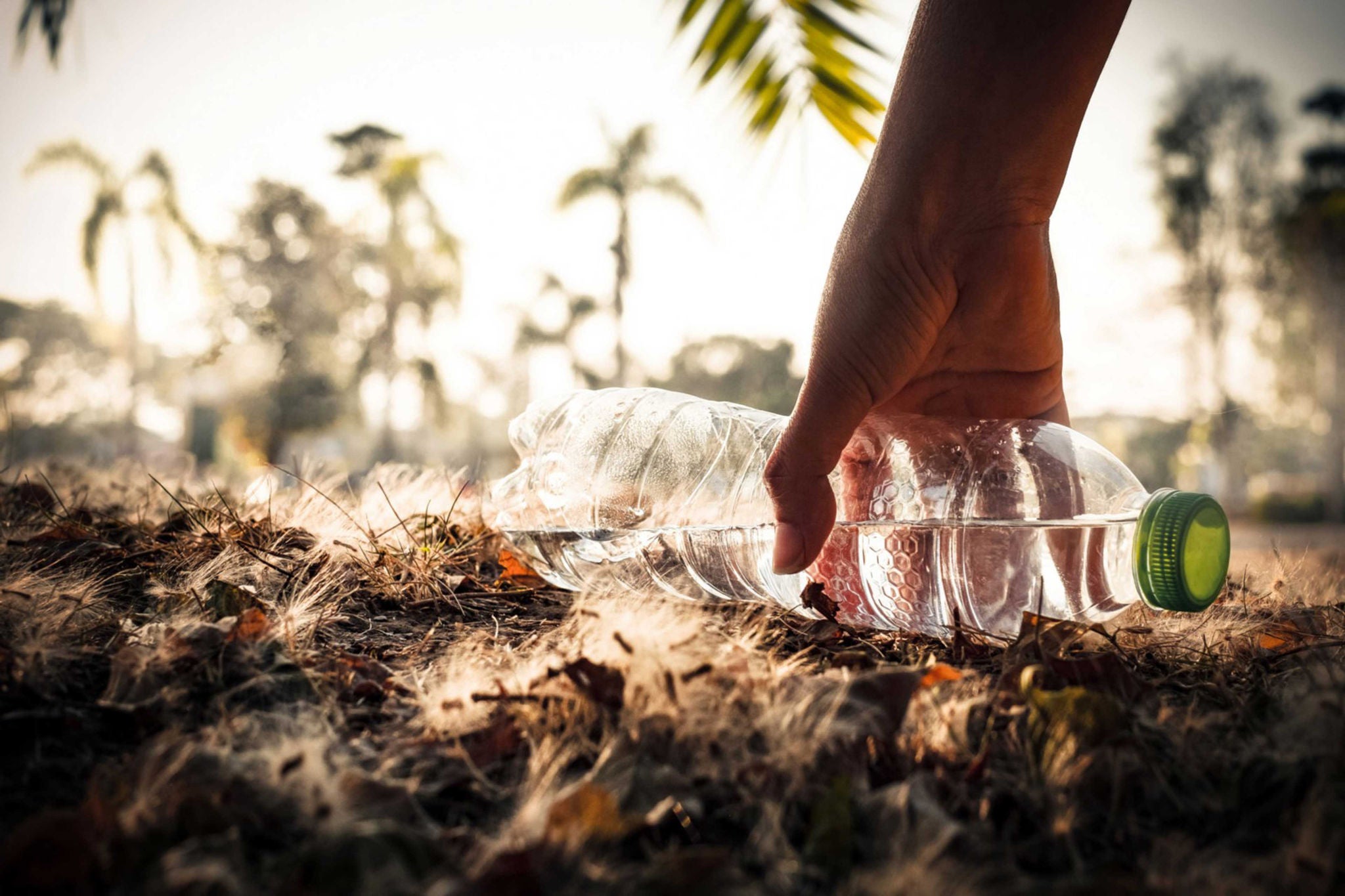 Impuestos plastico bottle