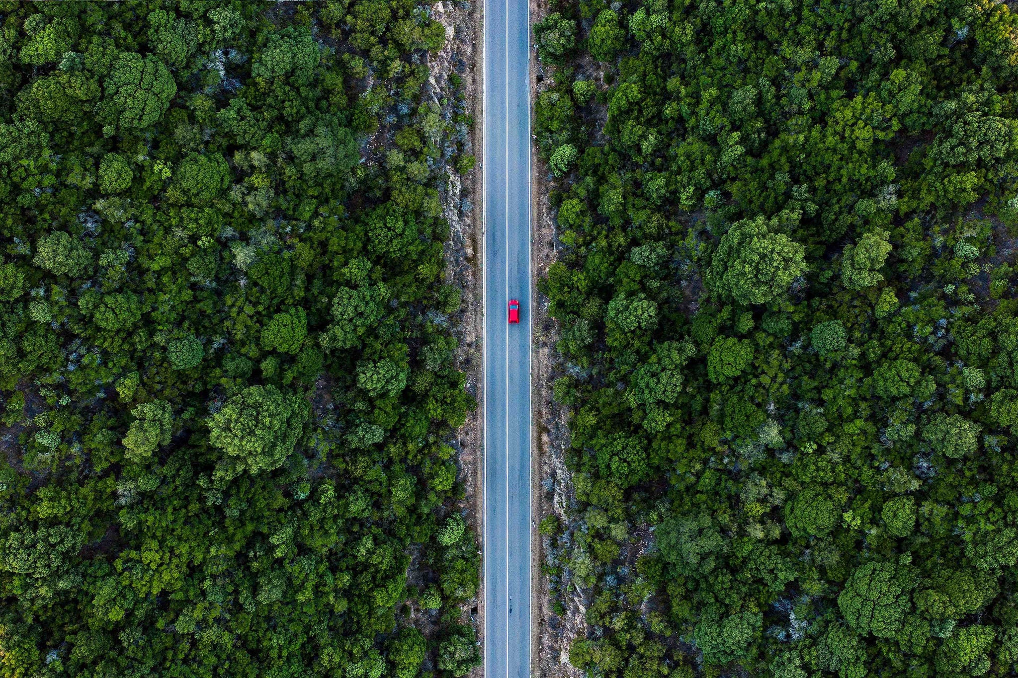 Vue aérienne d'une voiture sur une route dans la forêt