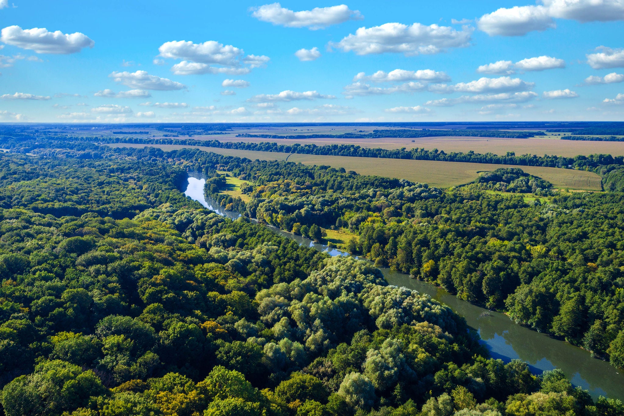 A beautiful view of Sky and trees along with flowing river