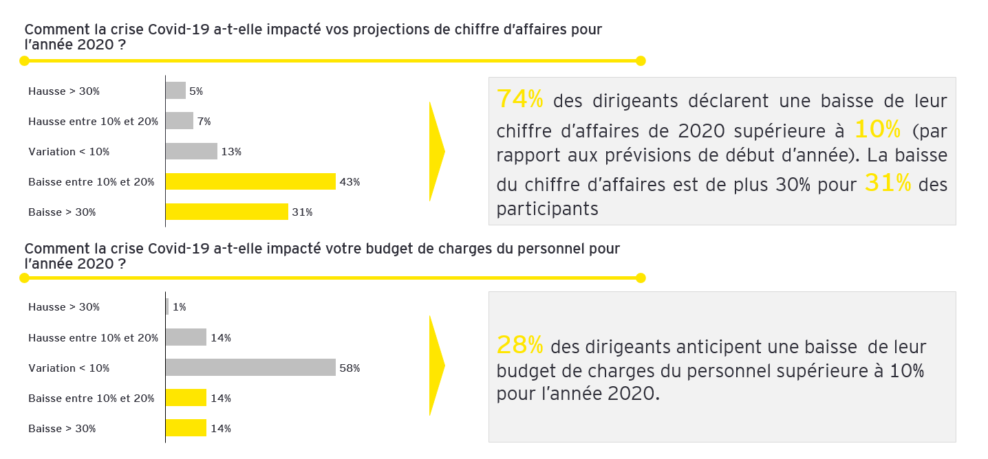 ey capturesituation interne 2020.