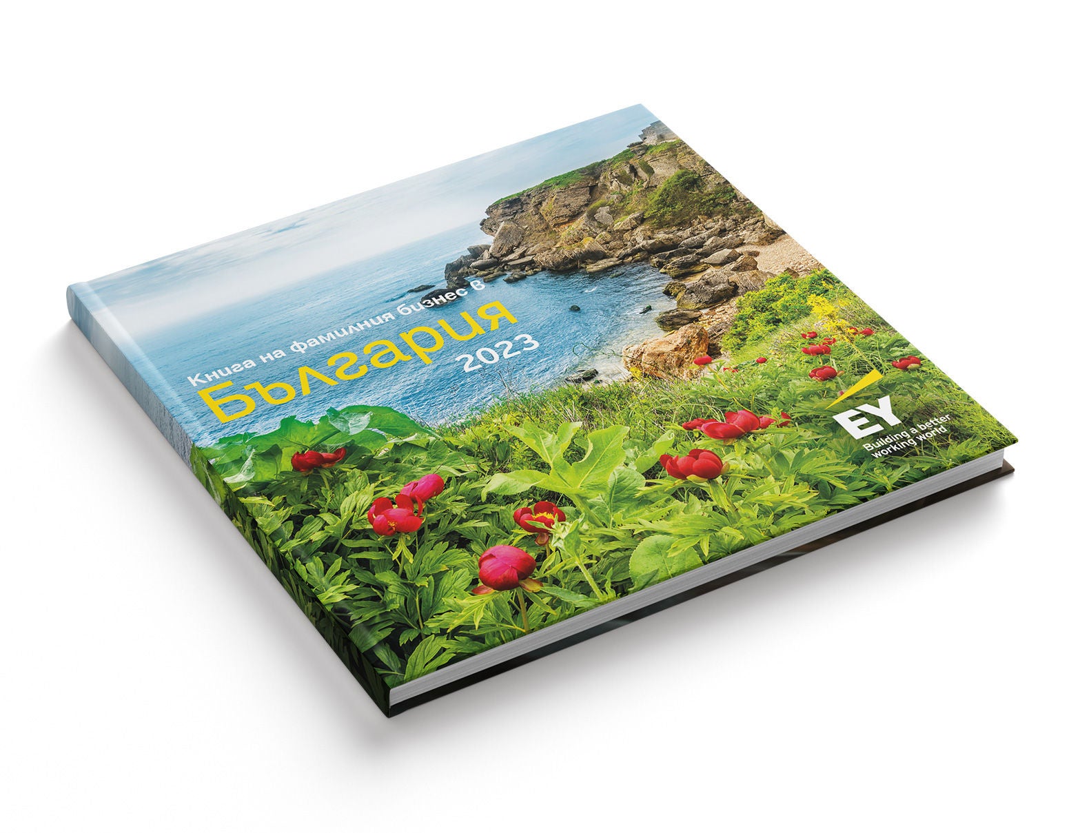 ey-book-mockup