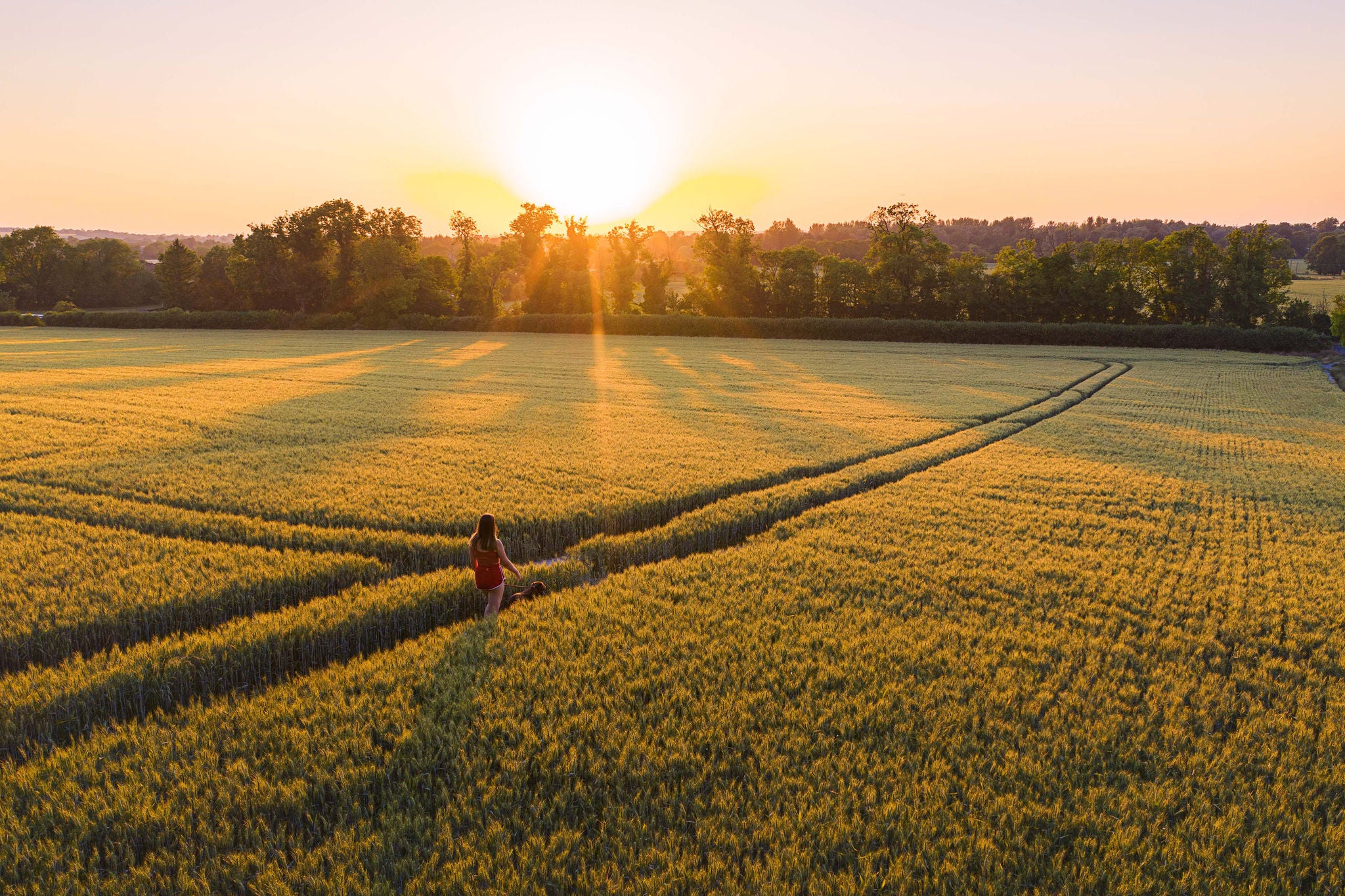 EY - Teenage girl walking the dog through a field at sunset