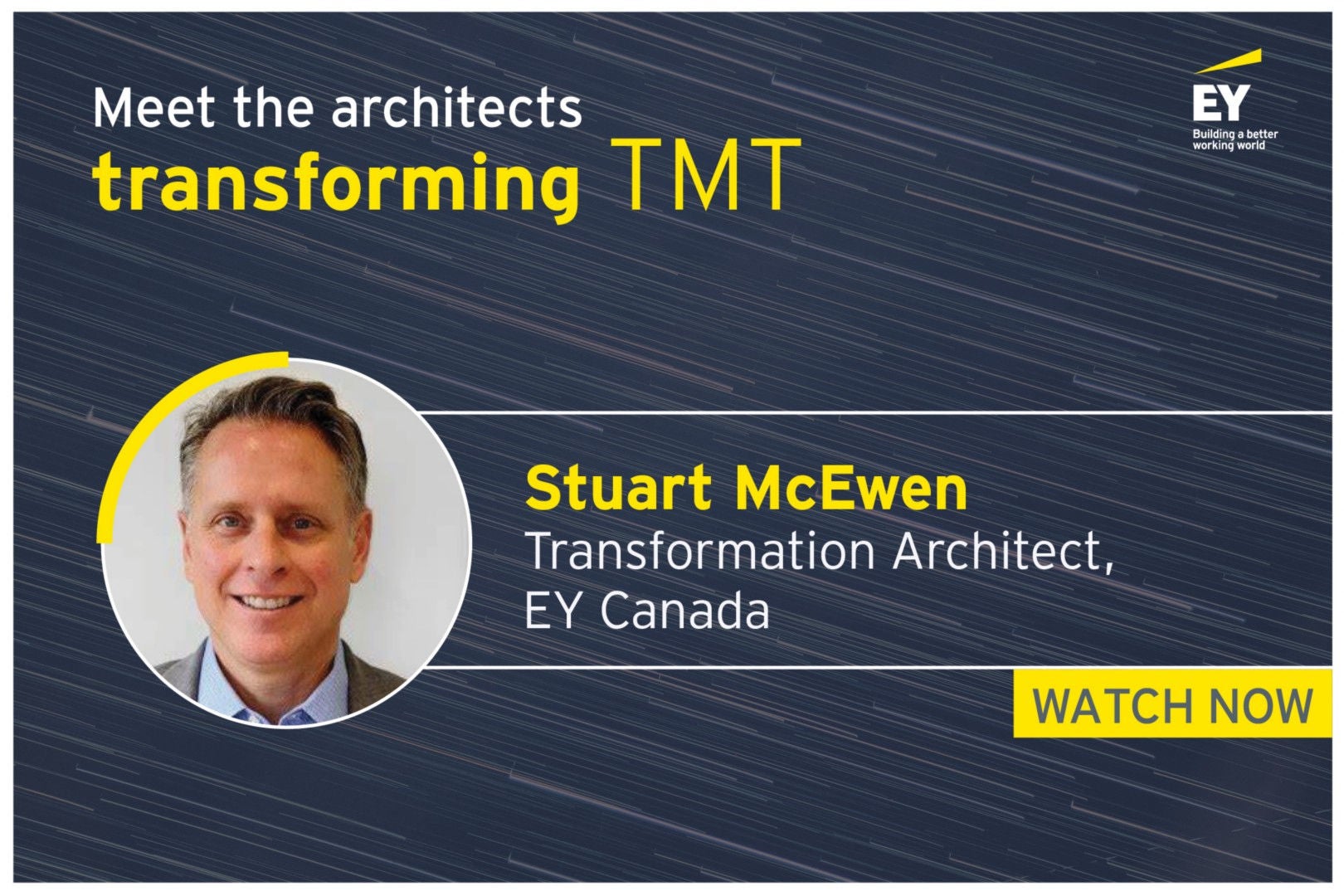 transformation architect