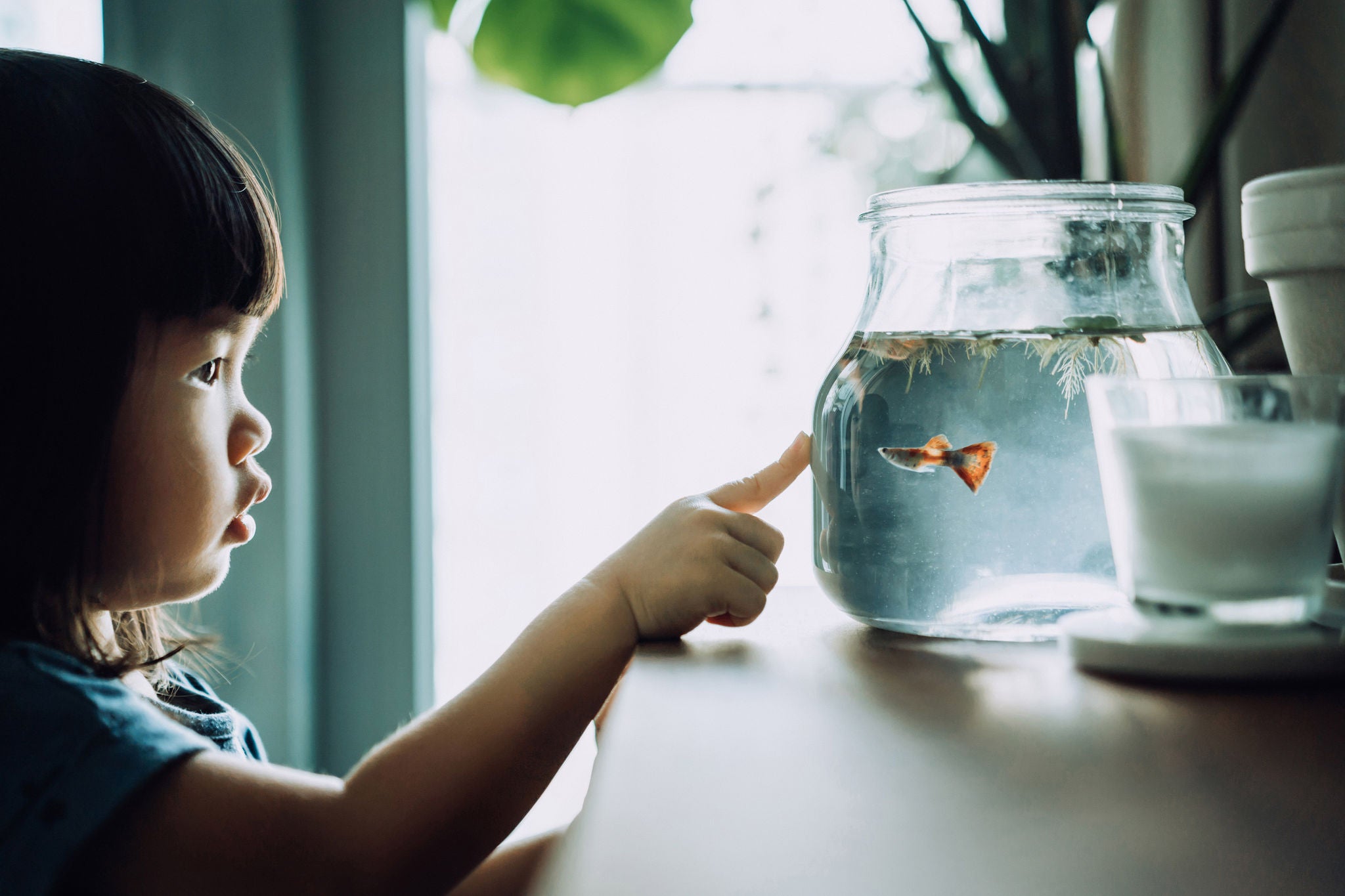 Lovely little Asian girl looking at fish bowl and pointing to fishes at home