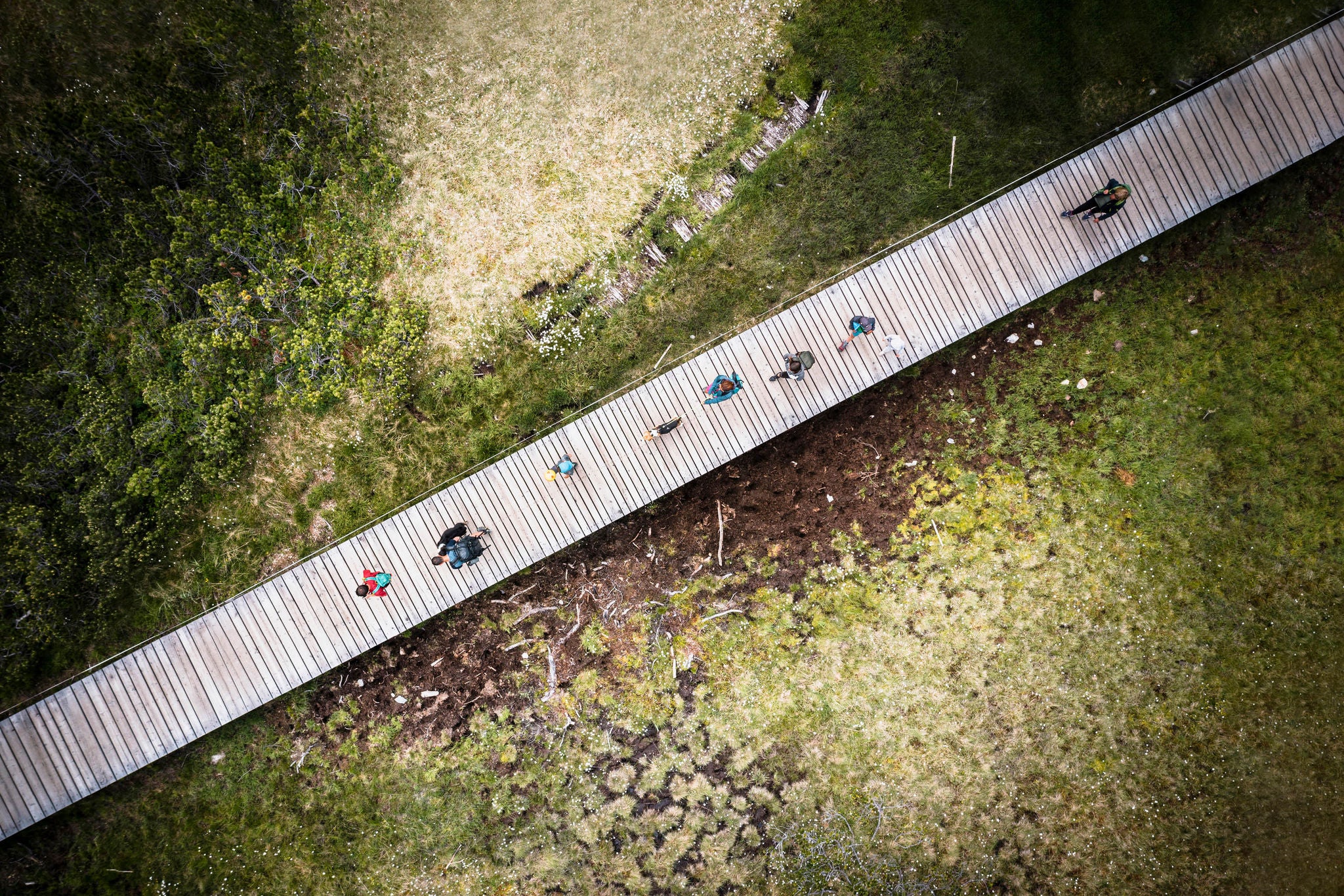 An aerial view of a wooden boardwalk running through a grassy