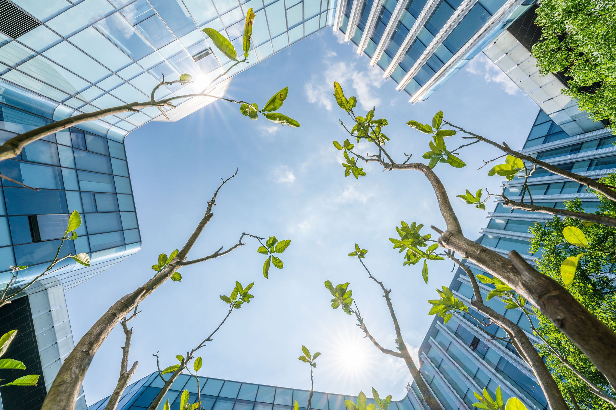 Edificios modernos de fondo y plantas germinando en primer plano