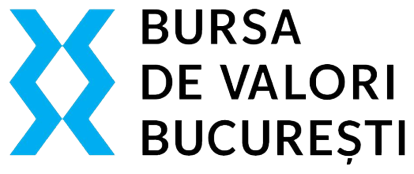 EY bursa de valori logo