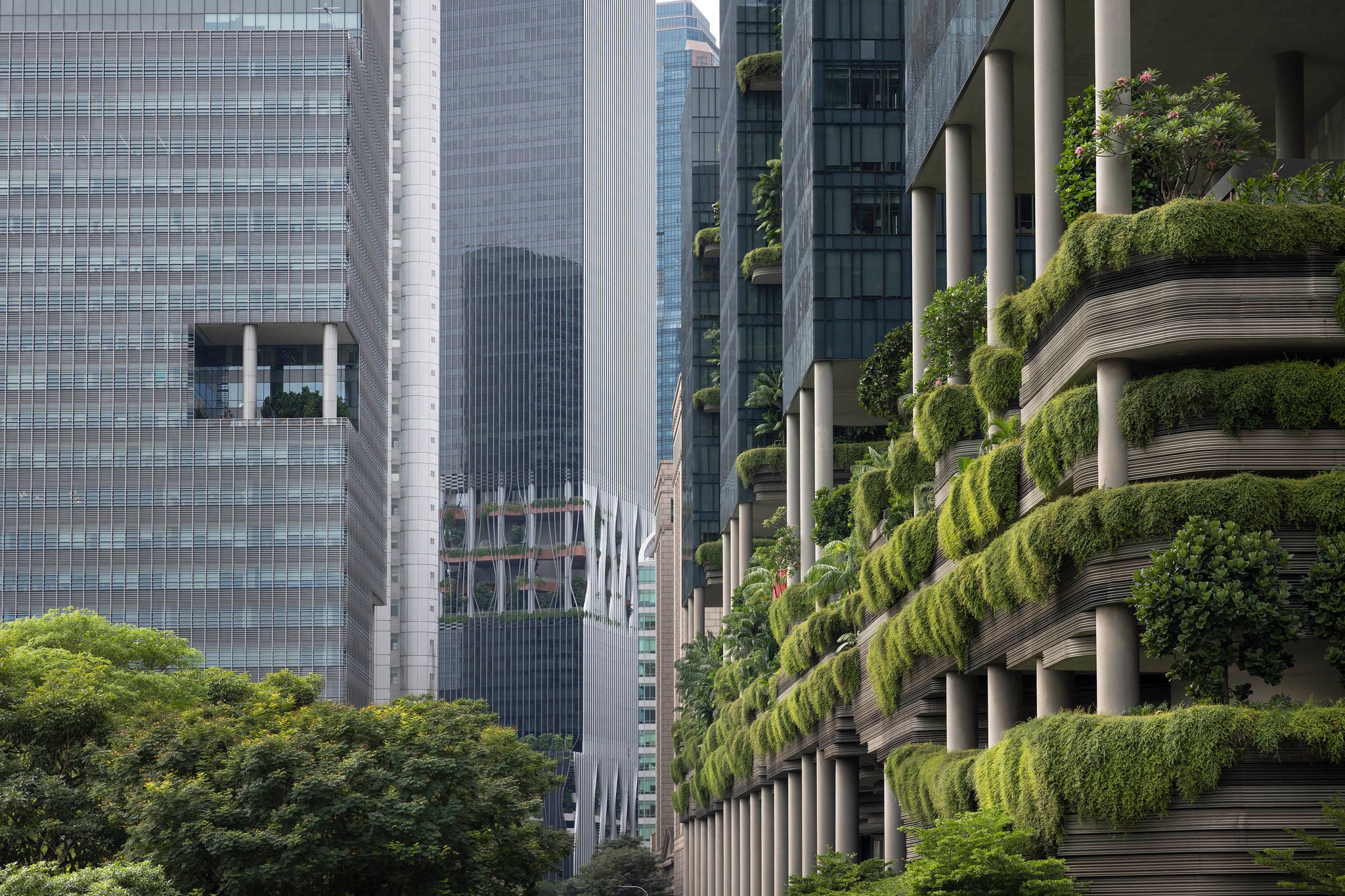 Jardim vertical crescendo de um edifício moderno em Cingapura