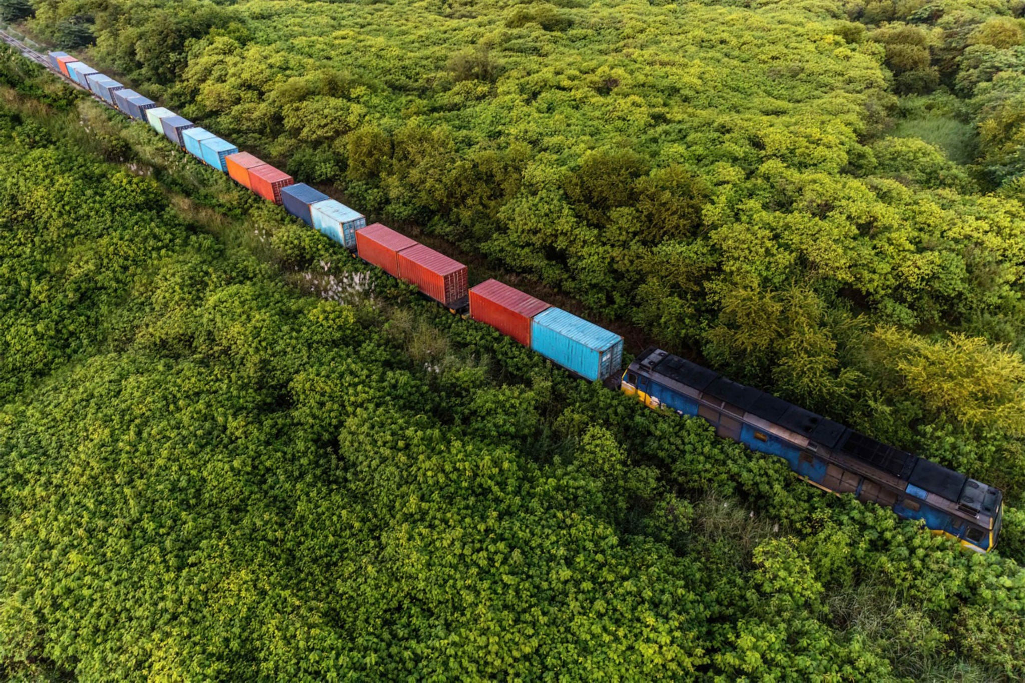 Train de marchandises traversant forrest sauvage