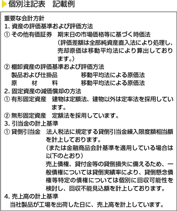 個別注記表　記載例