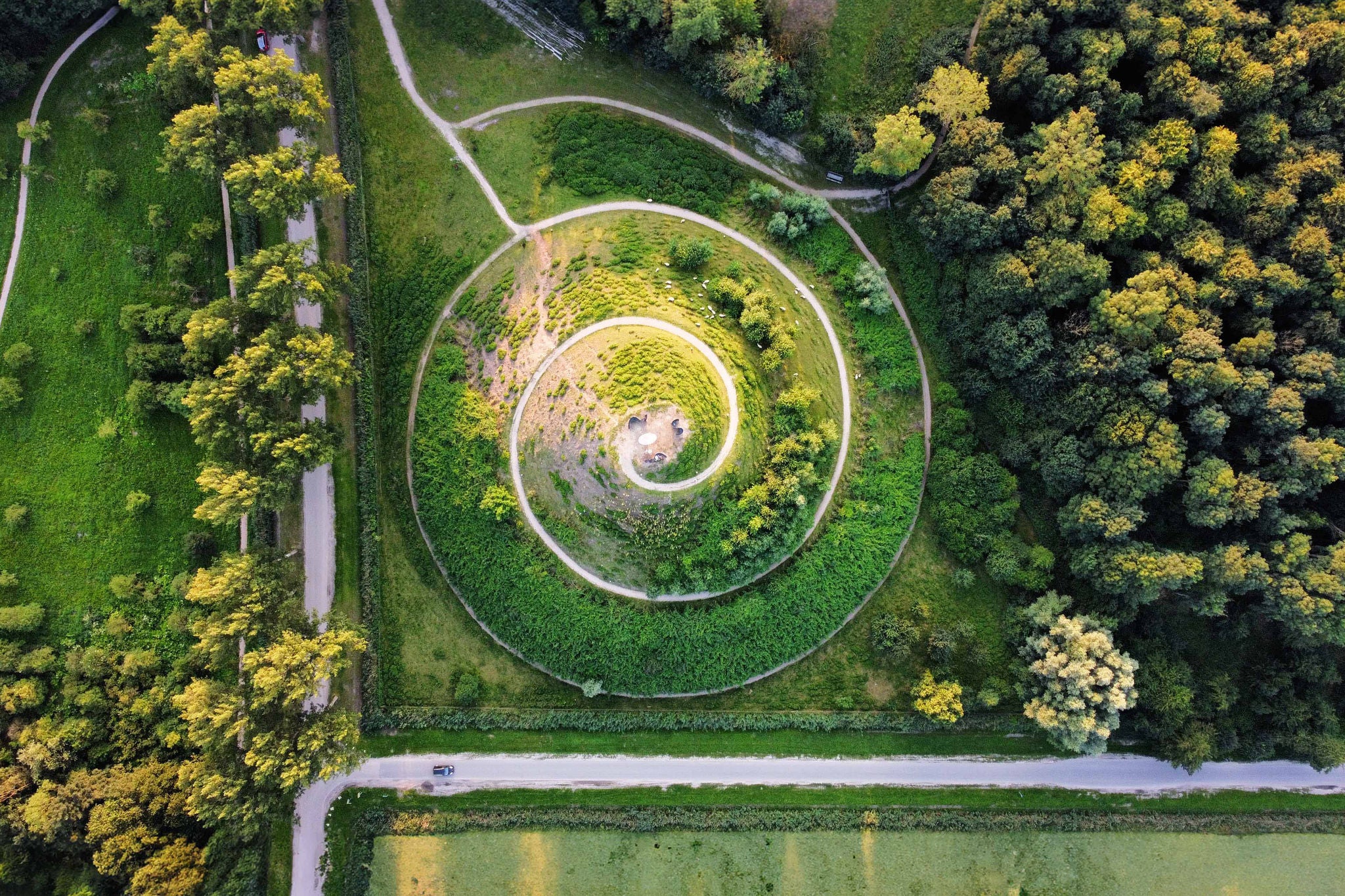 Luftaufnahme von Bäumen, die in einem Park wachsen