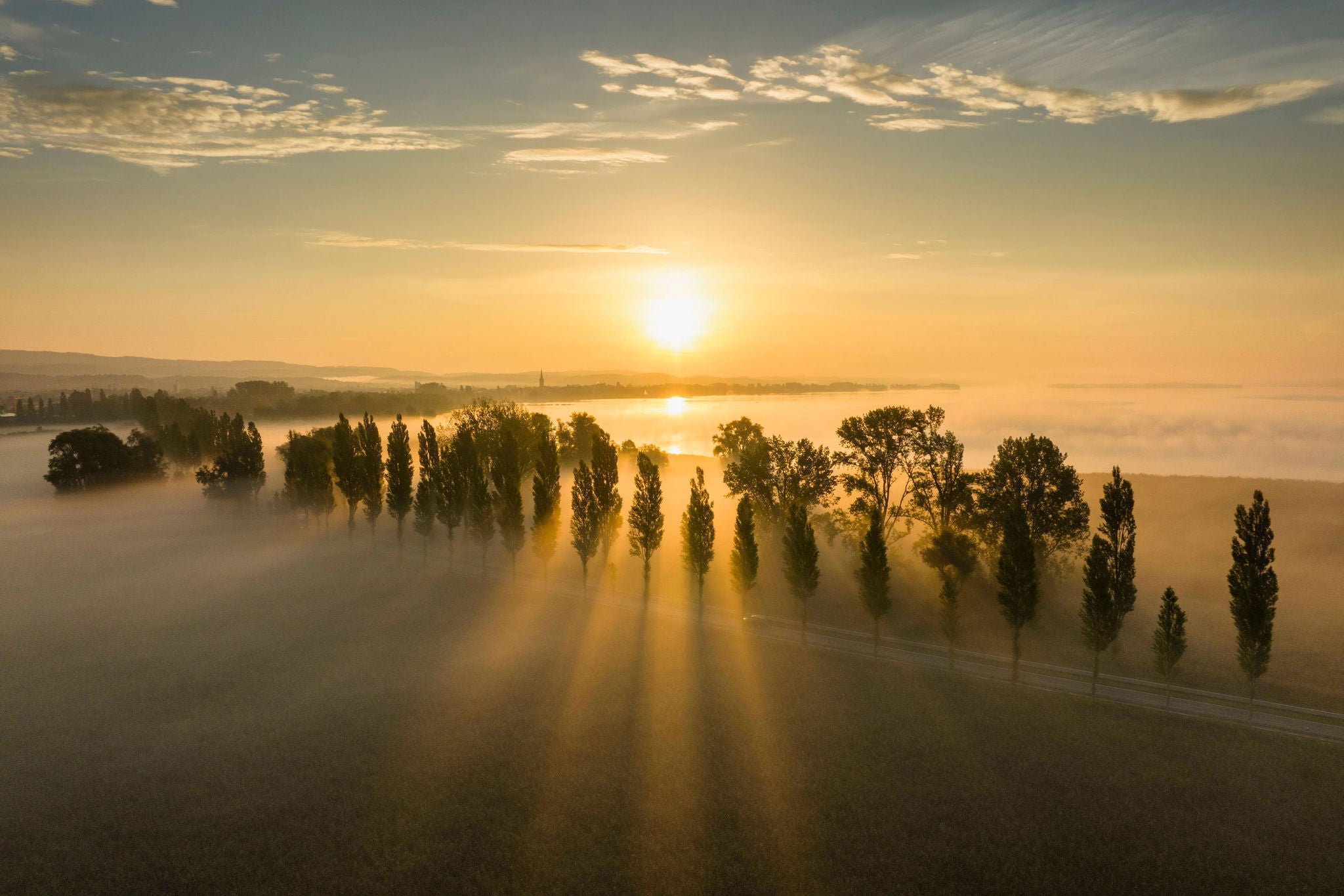 Aerial view of the Radolfzell Aachried with the poplar avenue on the Mooser Damm at sunrise and ground fog, on the horizon the town of Radolfzell on Lake Constance with the Mettnau peninsula, on the far right the island of Reichenau district of Constance, Baden-Württemberg, Germany, Europe