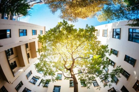 Tree-city-house