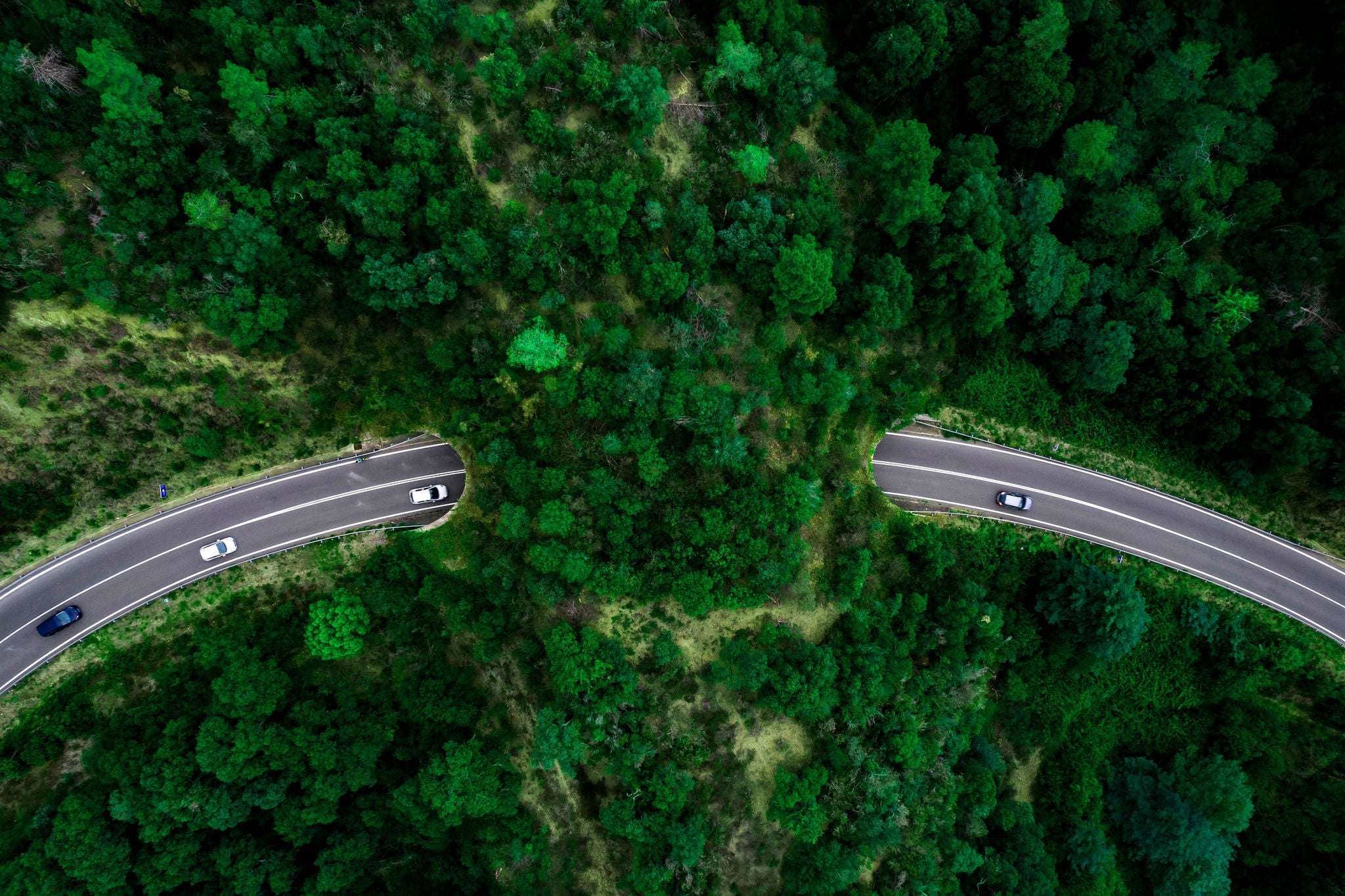 Green bridges for wildlife to permit animals cross human-made barriers like highways and railroads also to avoid car collisions and permits the expansion of species.