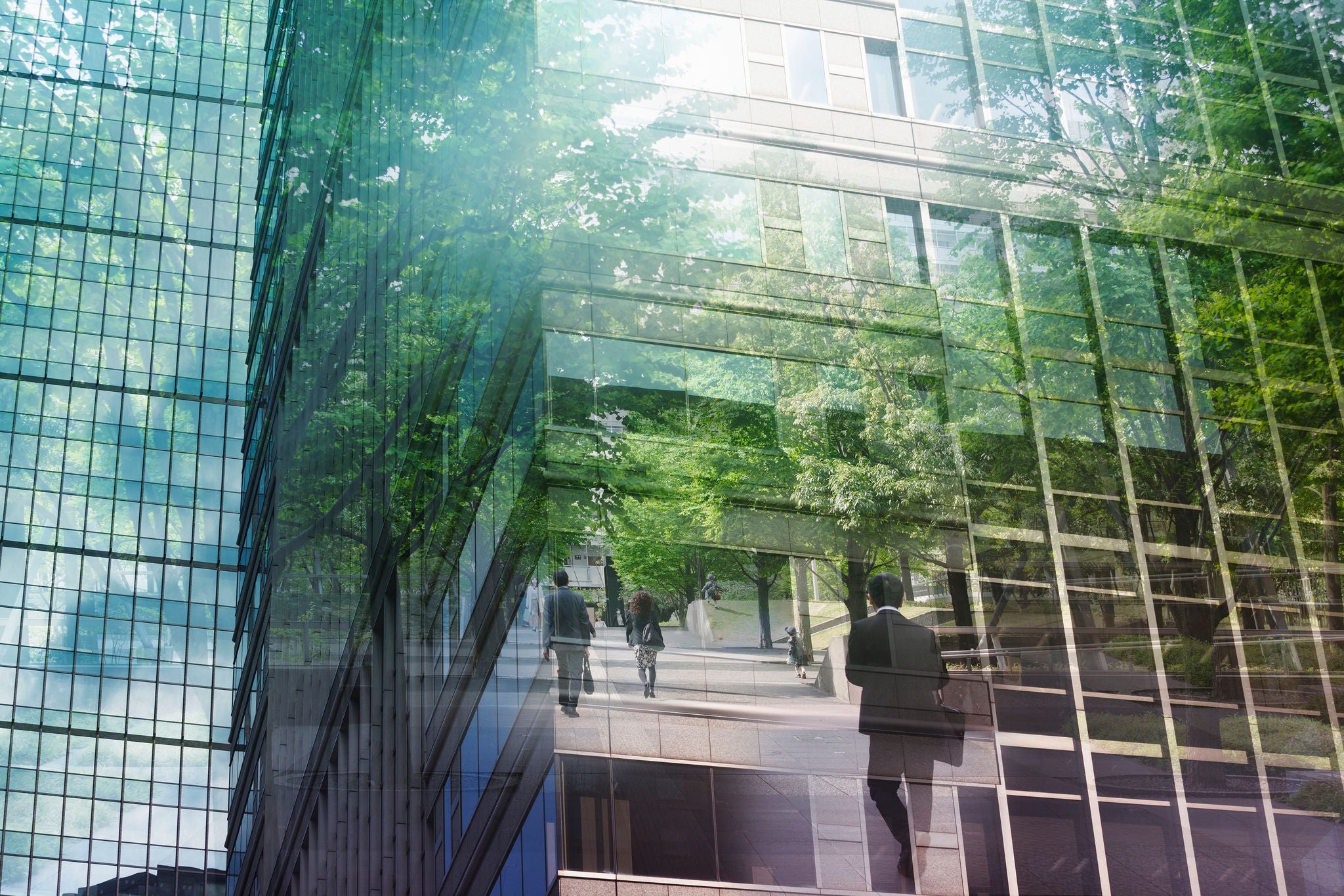 Photo of a building covered by vegetation