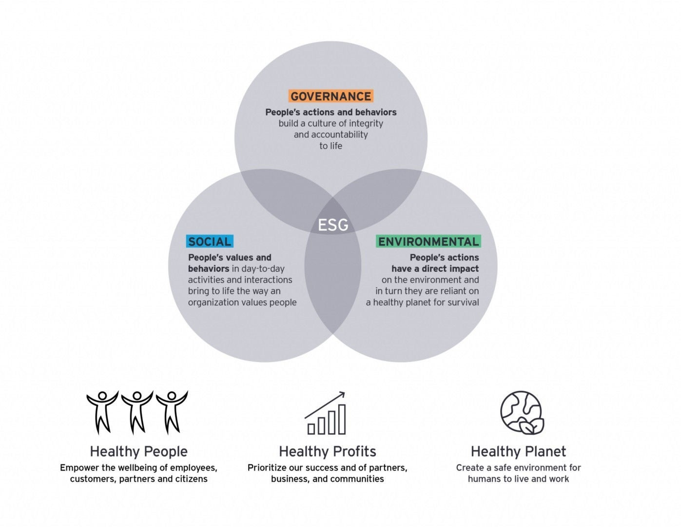 ey-people-advisory-services-and-sustainability