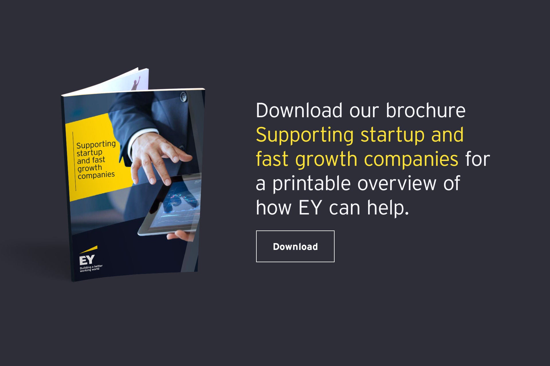 Download our EY Startup Program brochure