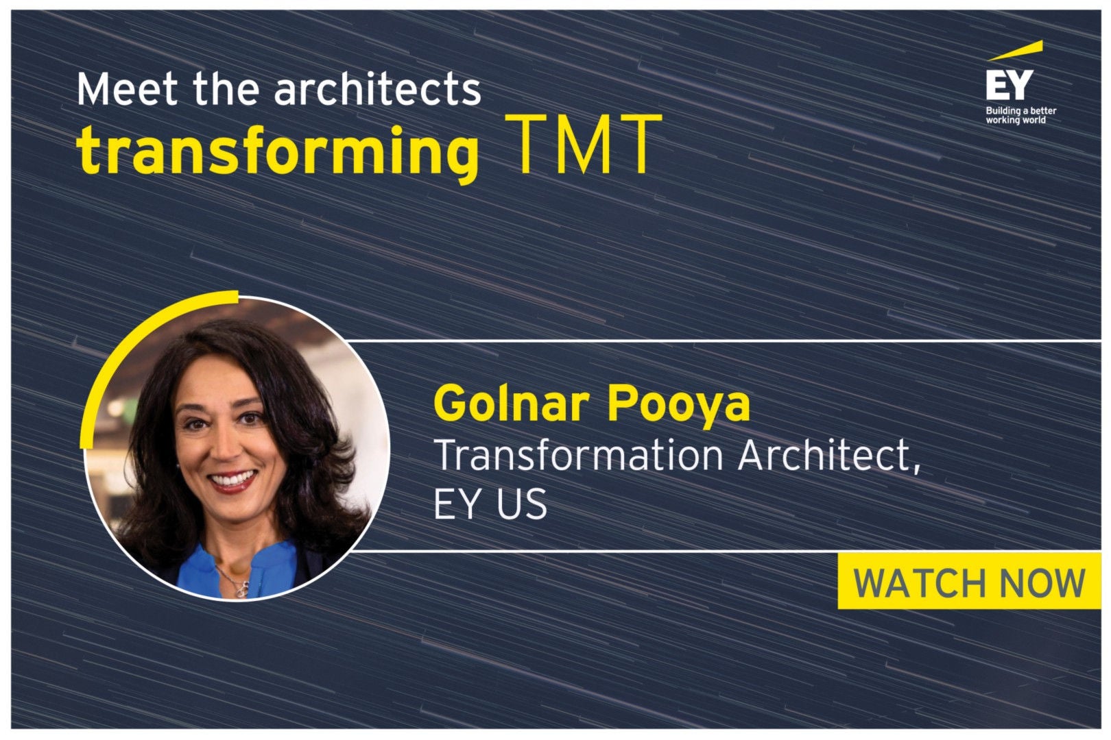 transformation architect