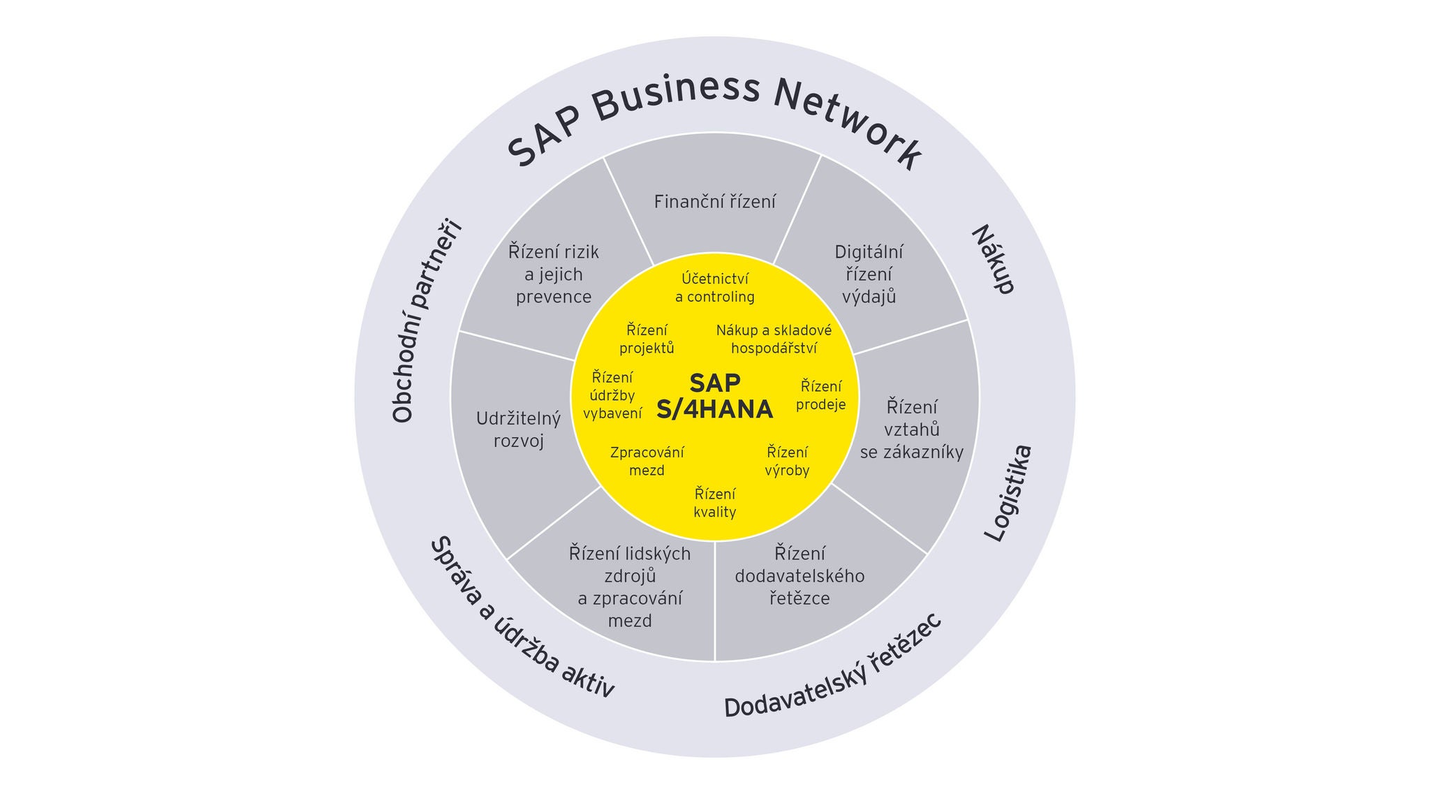 Ey Sap Hero Image