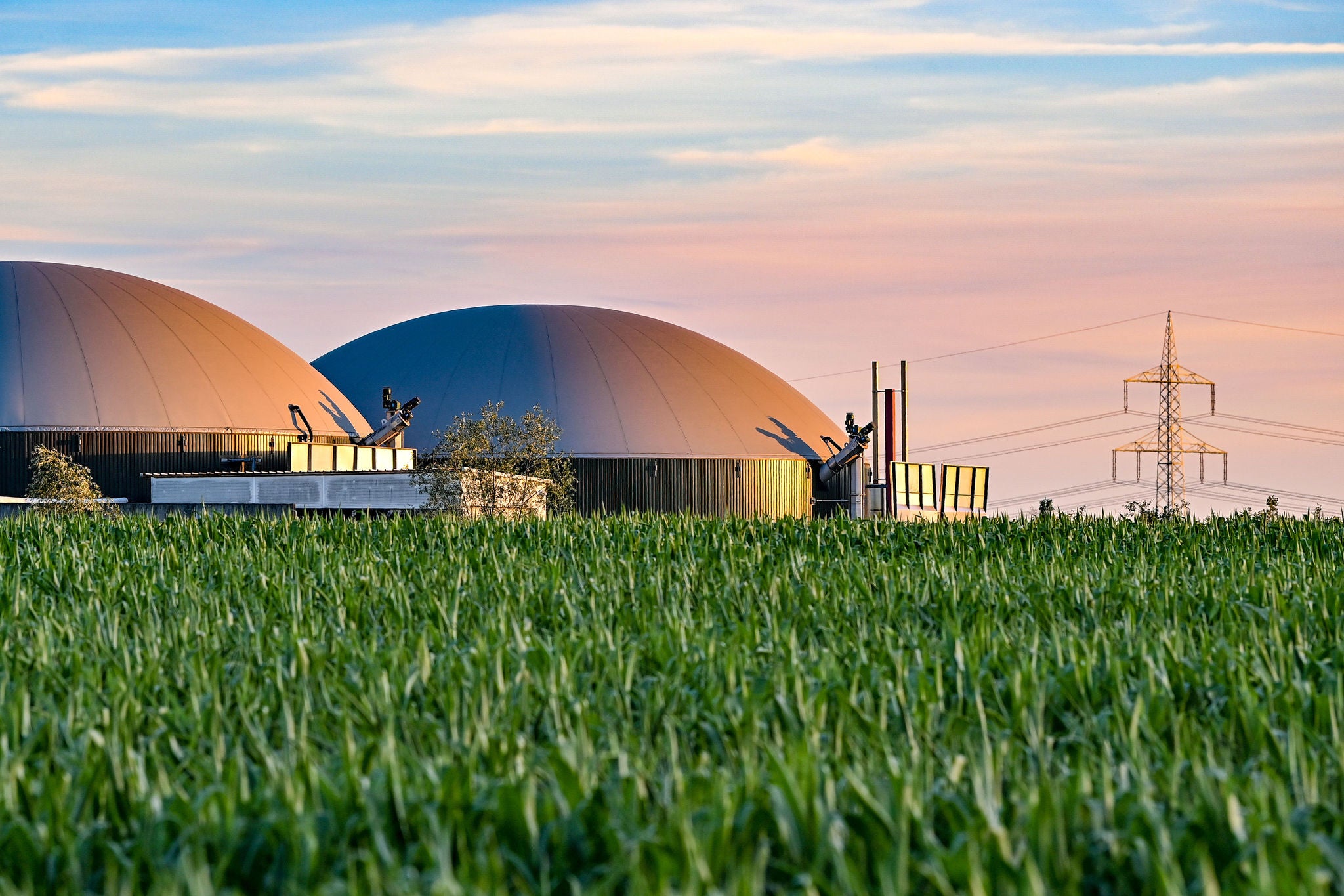 In Biogasanlagen wird aus organischem Material durch mikrobiellen Abbau Gas gewonnen. Je nach eingesetztem Material produzieren die Bakterien Biogas mit einem Methangehalt von 50 bis 75 Prozent. Aus diesem kann direkt vor Ort in einem Blockheizkraftwerk Strom und Waerme gewonnen werden oder es kann auf Erdgasqualität aufbereitet und in das Erdgasnetz eingespeist werden. Die Gaerreste koennen in der Regel als Duenger verwertet werden.