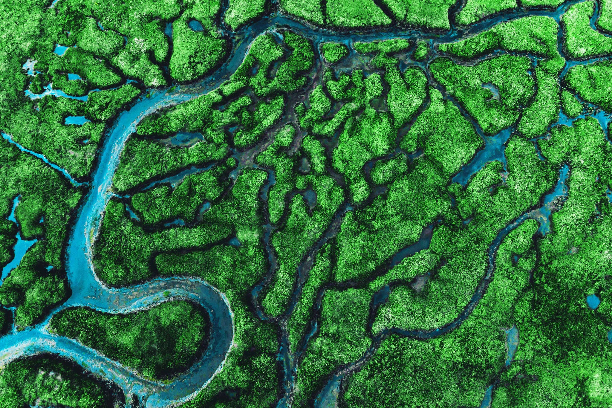 Beautiful aerial view of meander river with affluents and green vegetation