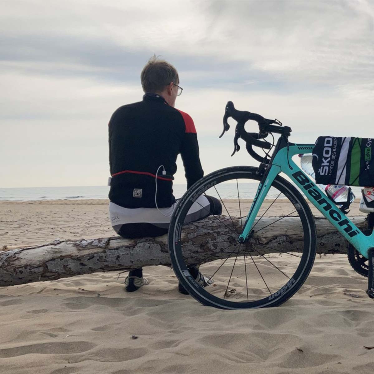 Back pose of a Bernard sitting on a wooden log with a bicycle