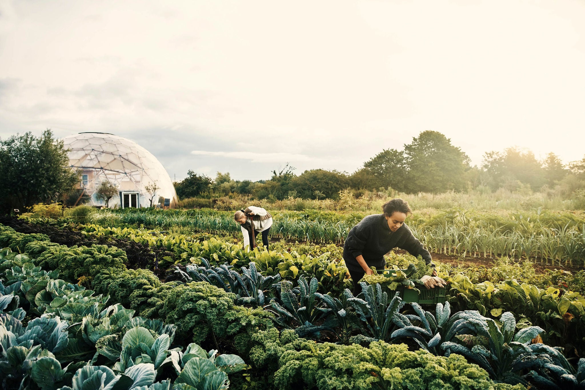 Shot of two young women working on a farm