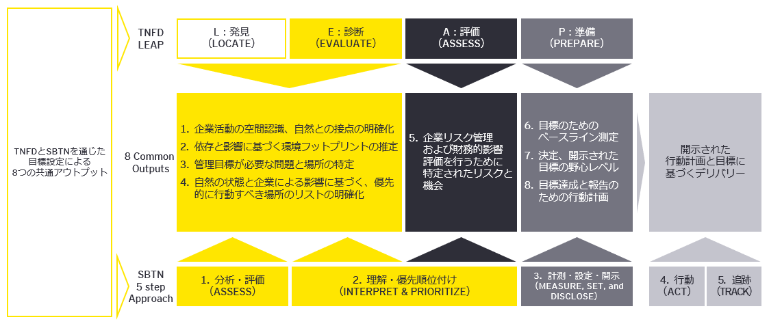 図2　目標設定におけるTNFDとSBTNの連携