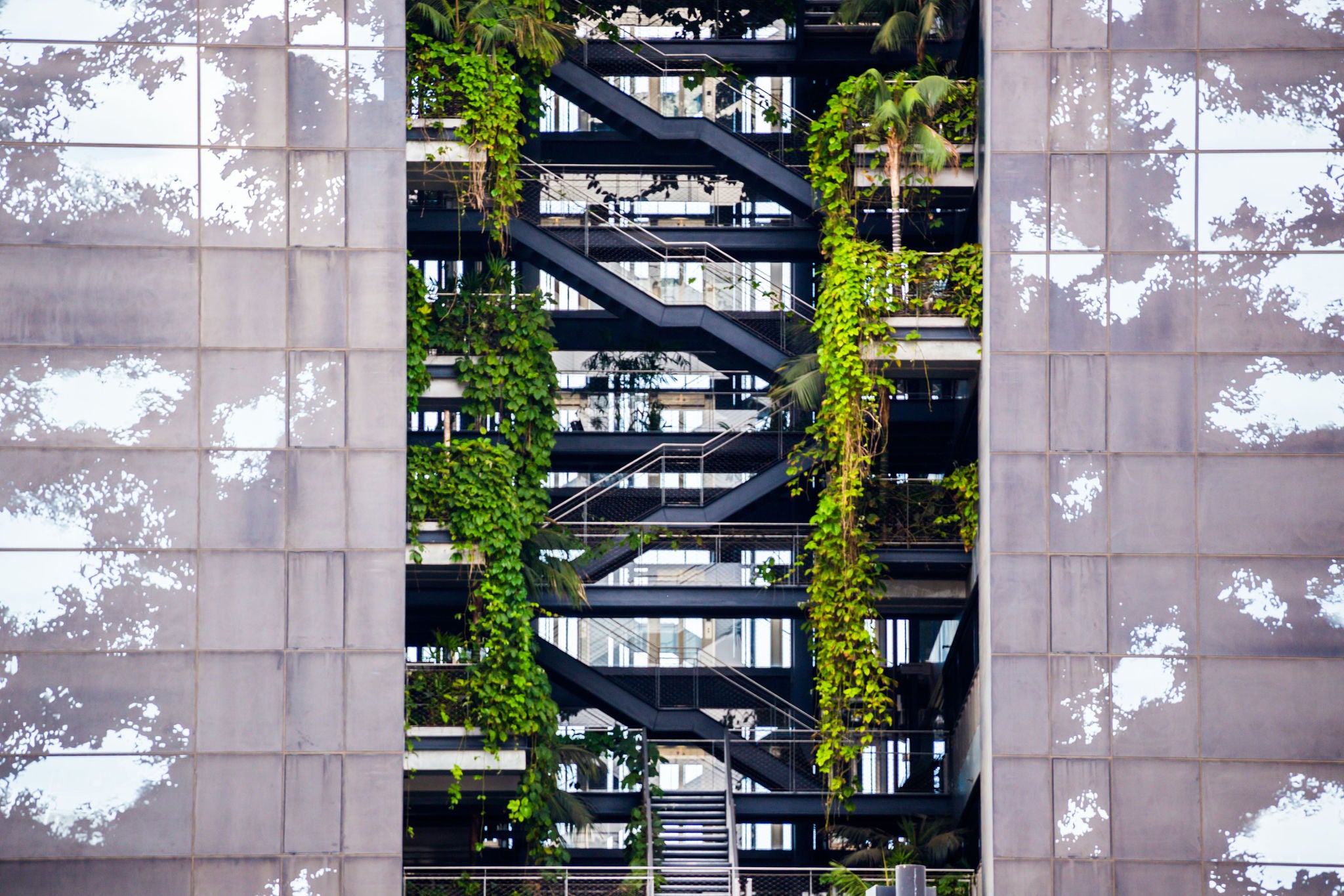 Plantation on stair case