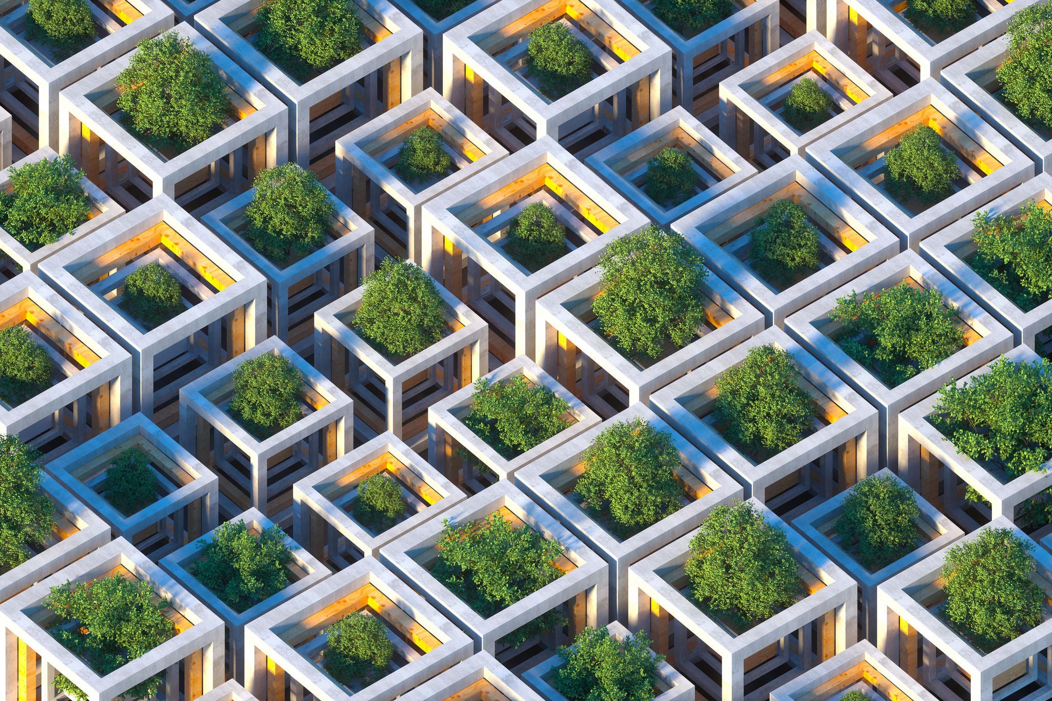 Digital generated image of sustainable cubic shapes made out of concrete and wood with growing trees inside each cube