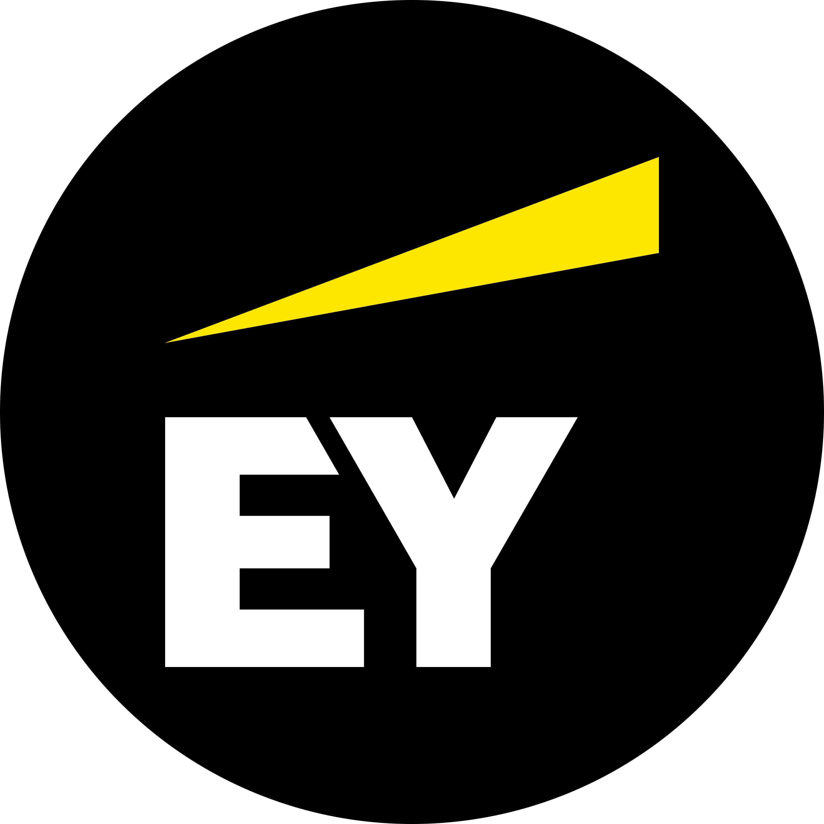 EY ソリューションズ株式会社