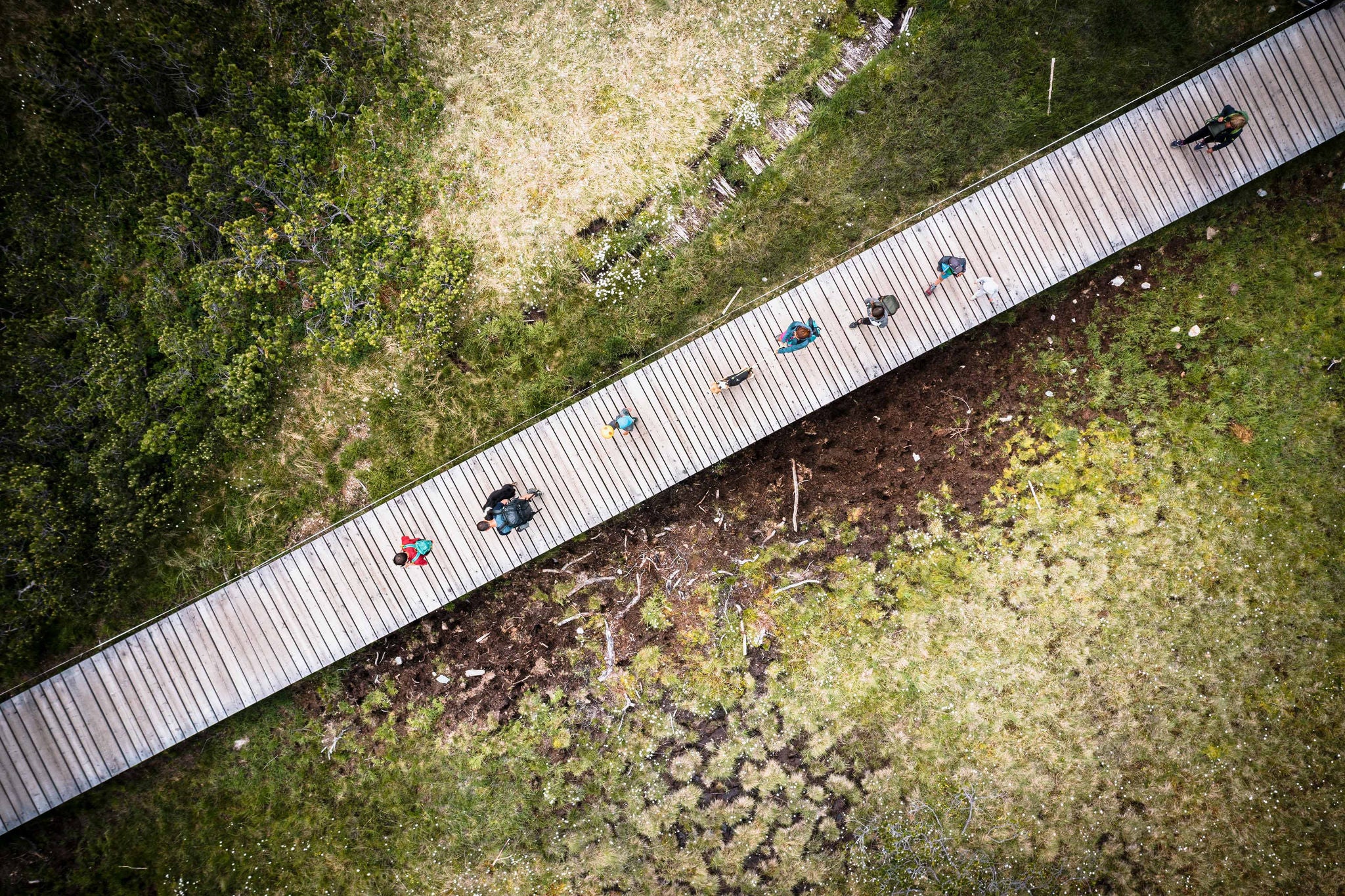 Hikers walking on footpath in the Biotopo Monte Covolo-Nemes natural area from above, Sesto, Bolzano, South Tyrol, Italy