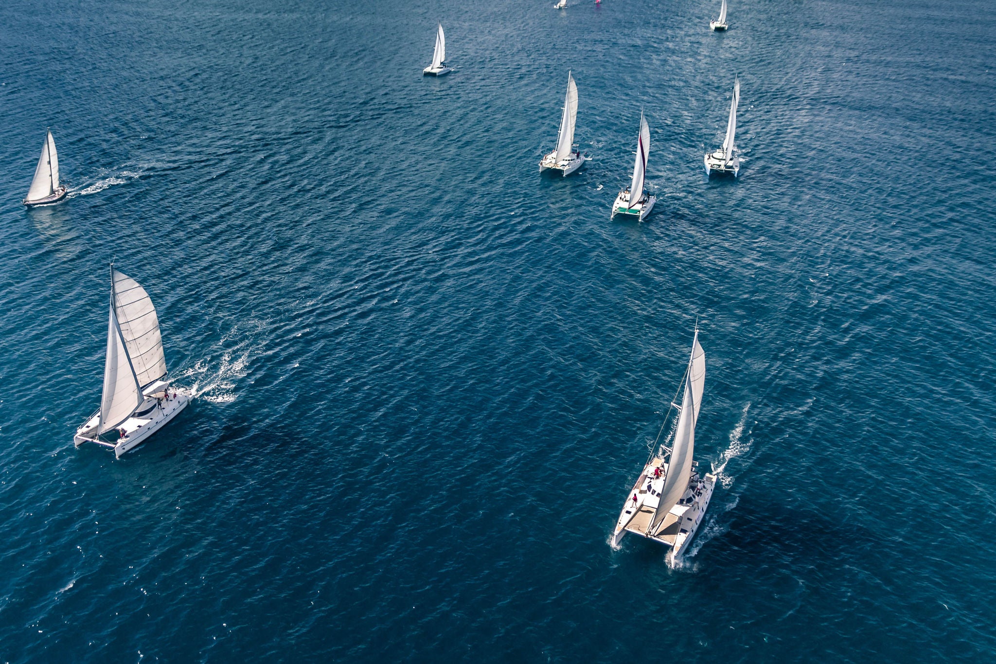 Regatta in the Indian Ocean, monohulls and catamarans