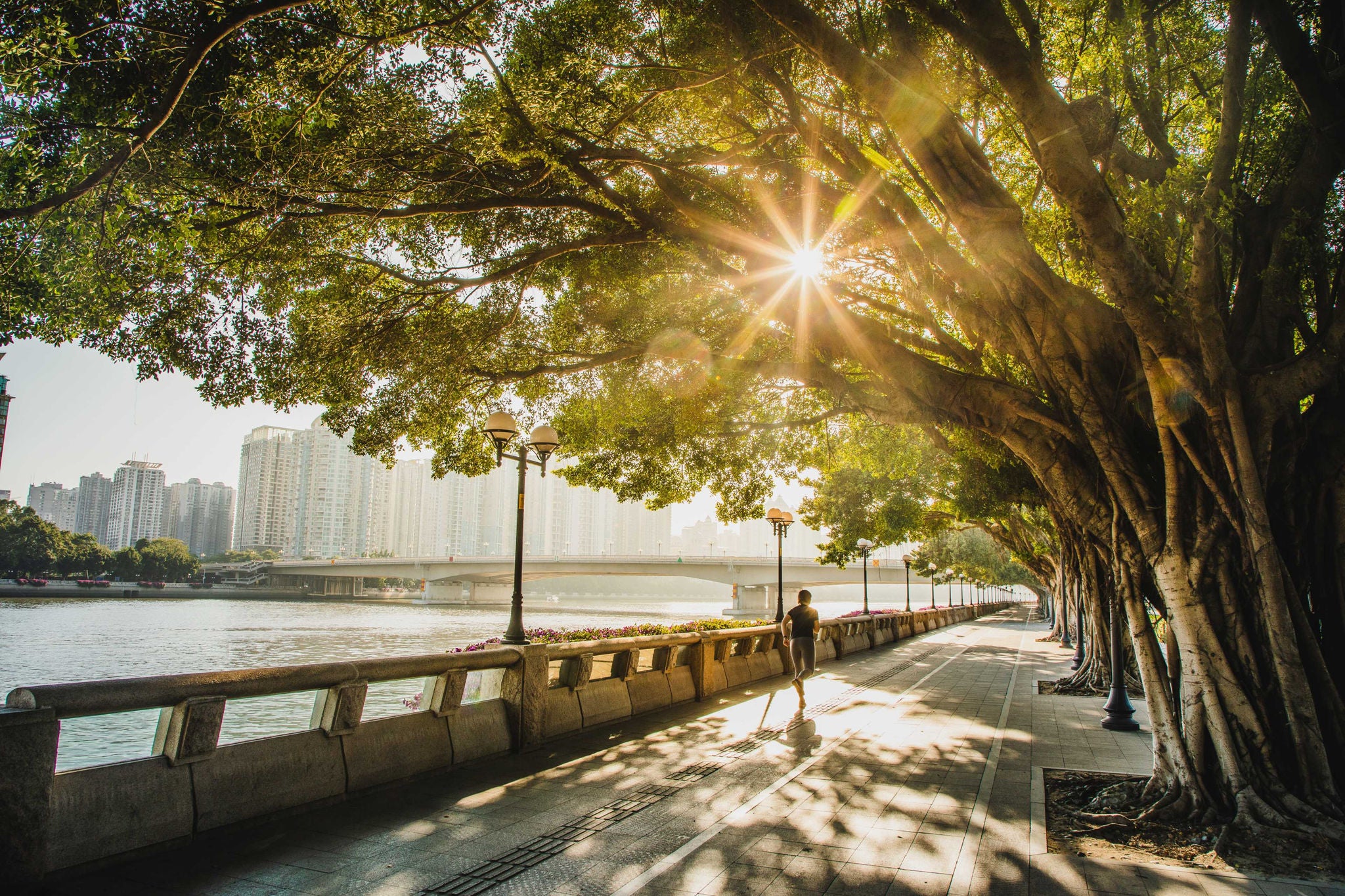 EY - Person running along path next to water