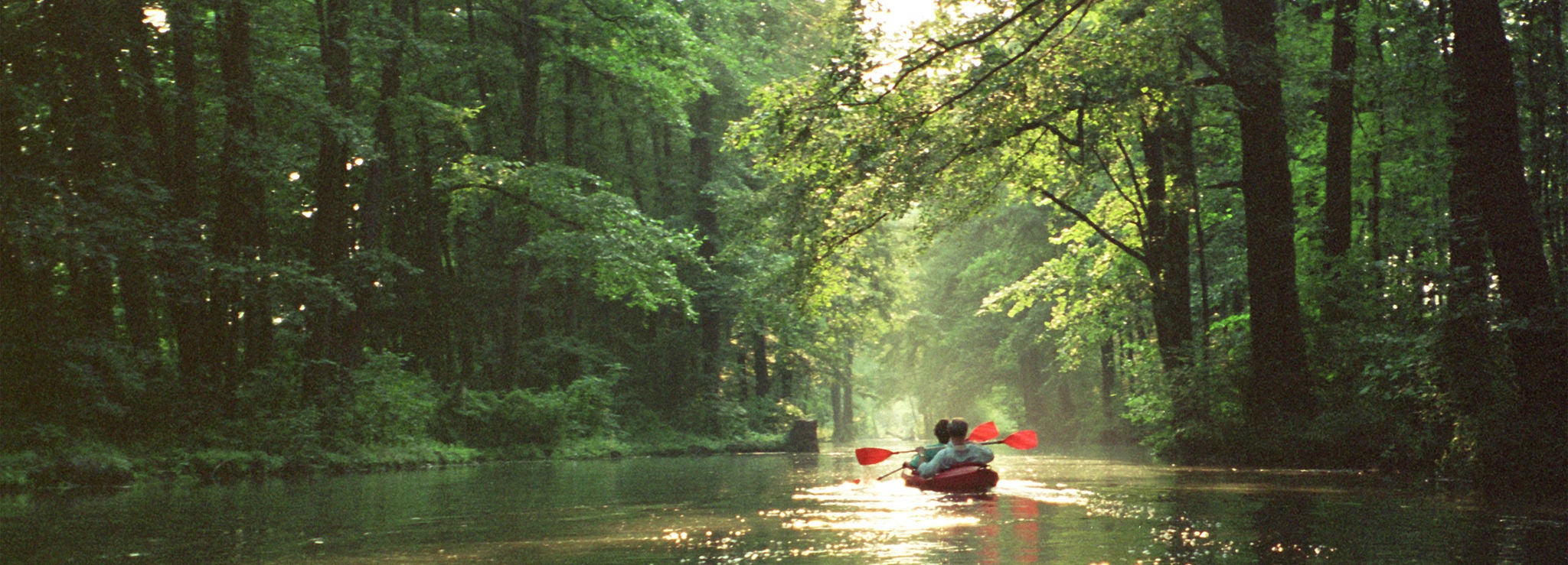 people in boating